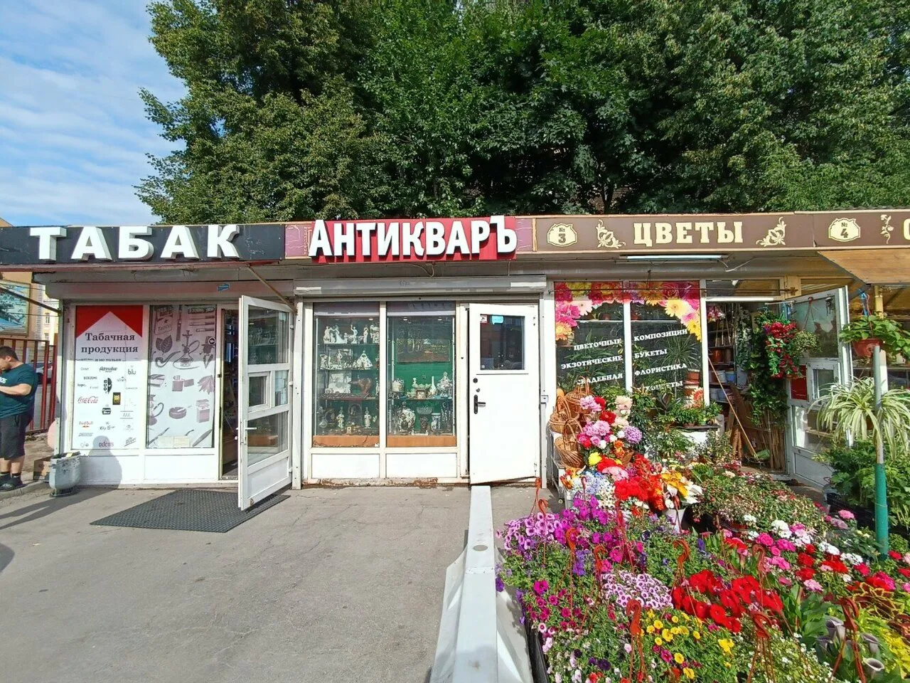 Магазин антикварных сокровищ, фото 8