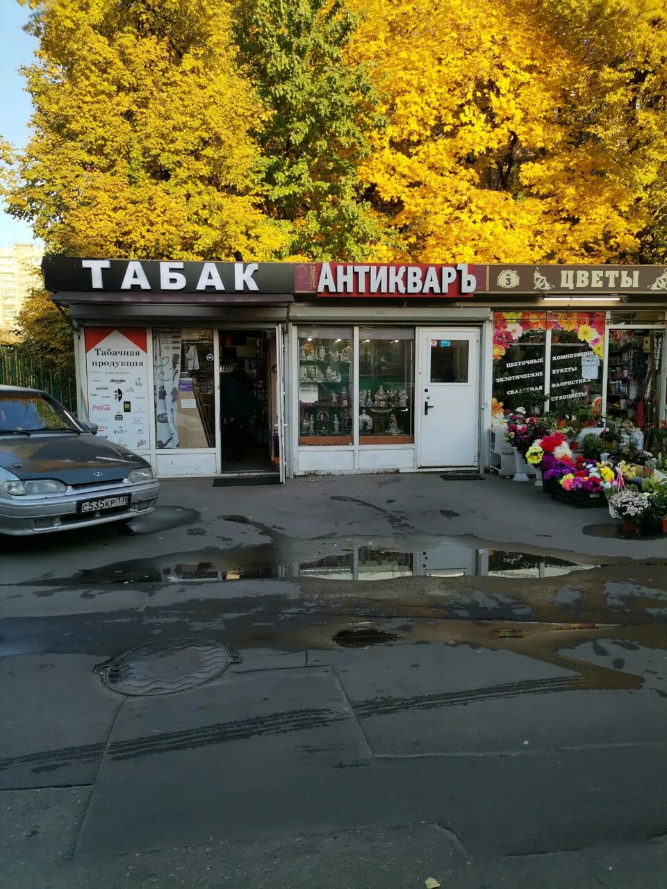 Магазин антикварных сокровищ, фото 9