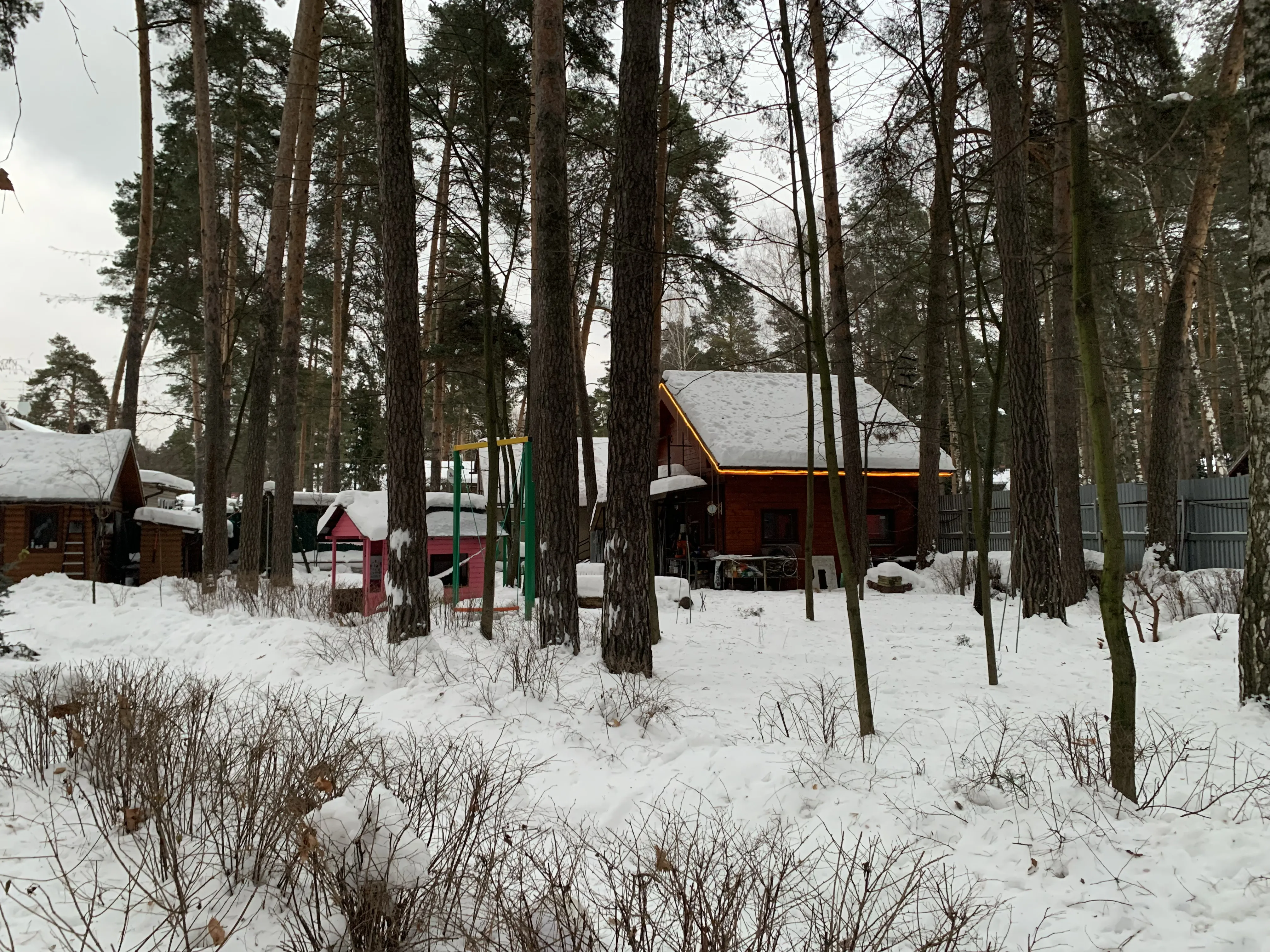 Деревянный дом в лесу, фото 3