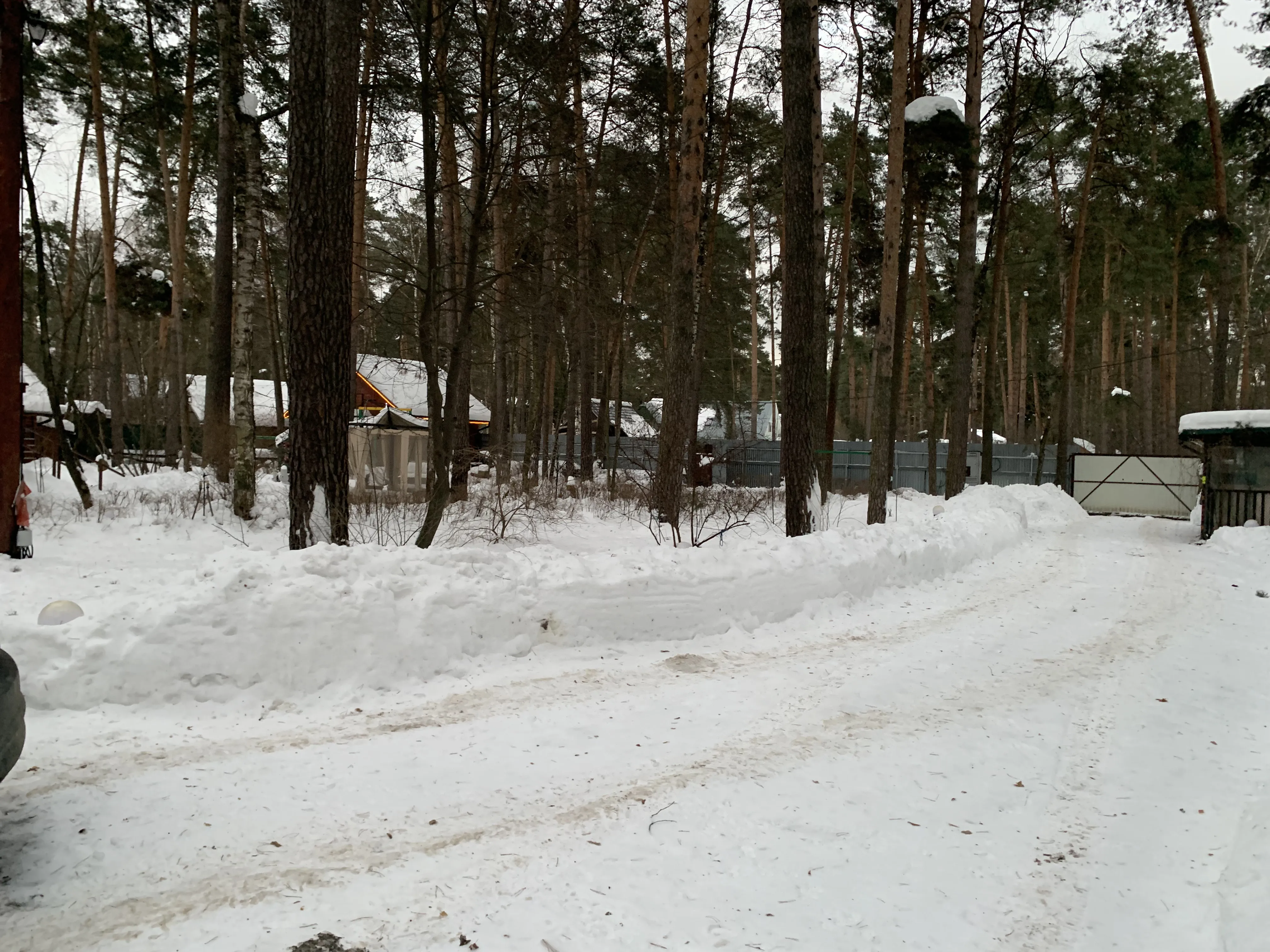 Деревянный дом в лесу, фото 4