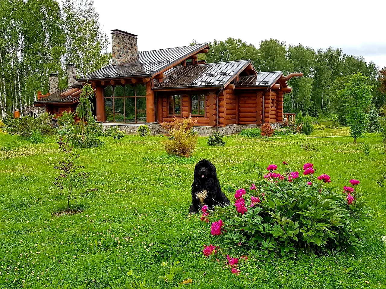 Брёвна и камень, фото 6