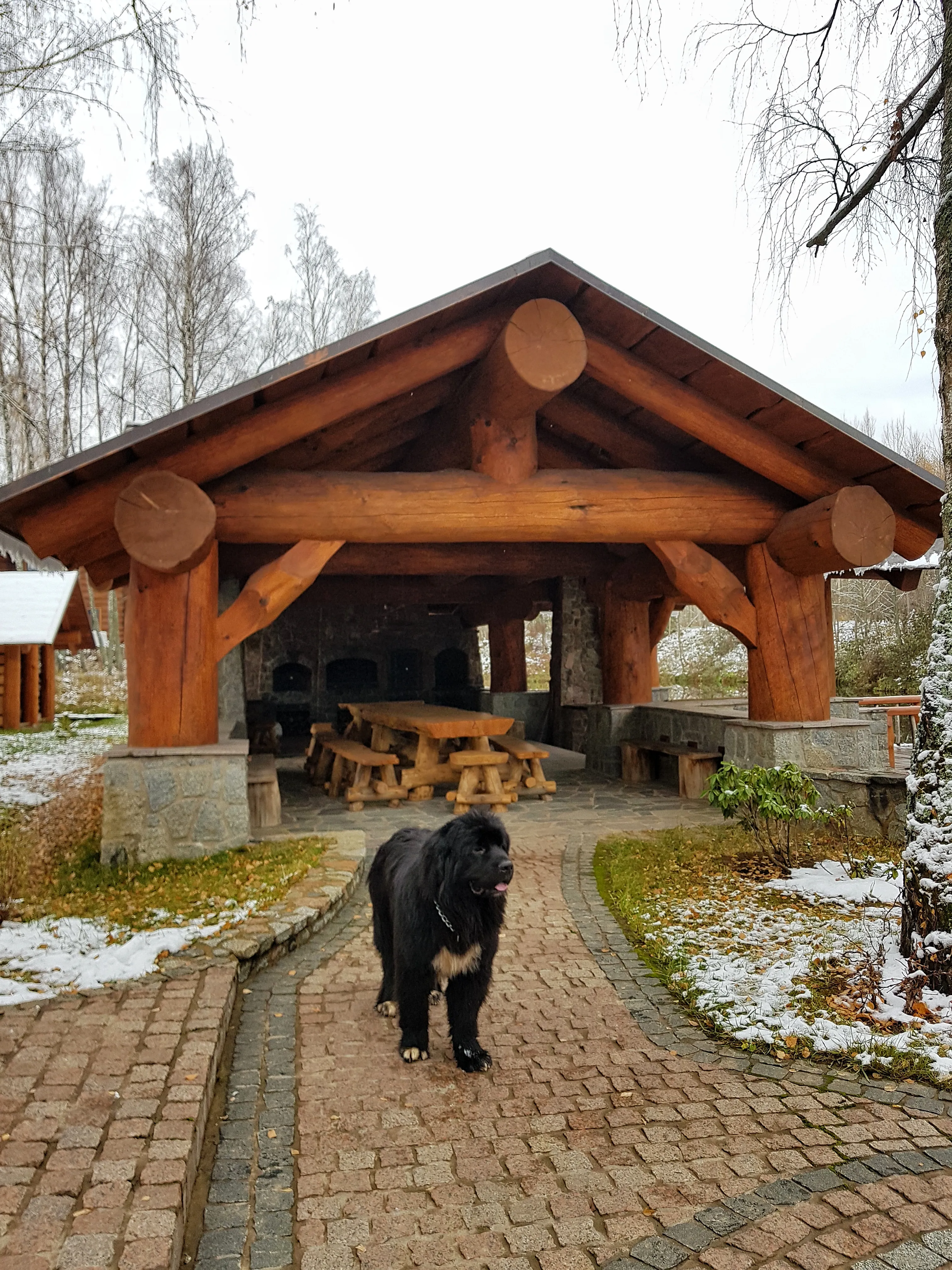 Брёвна и камень, фото 4