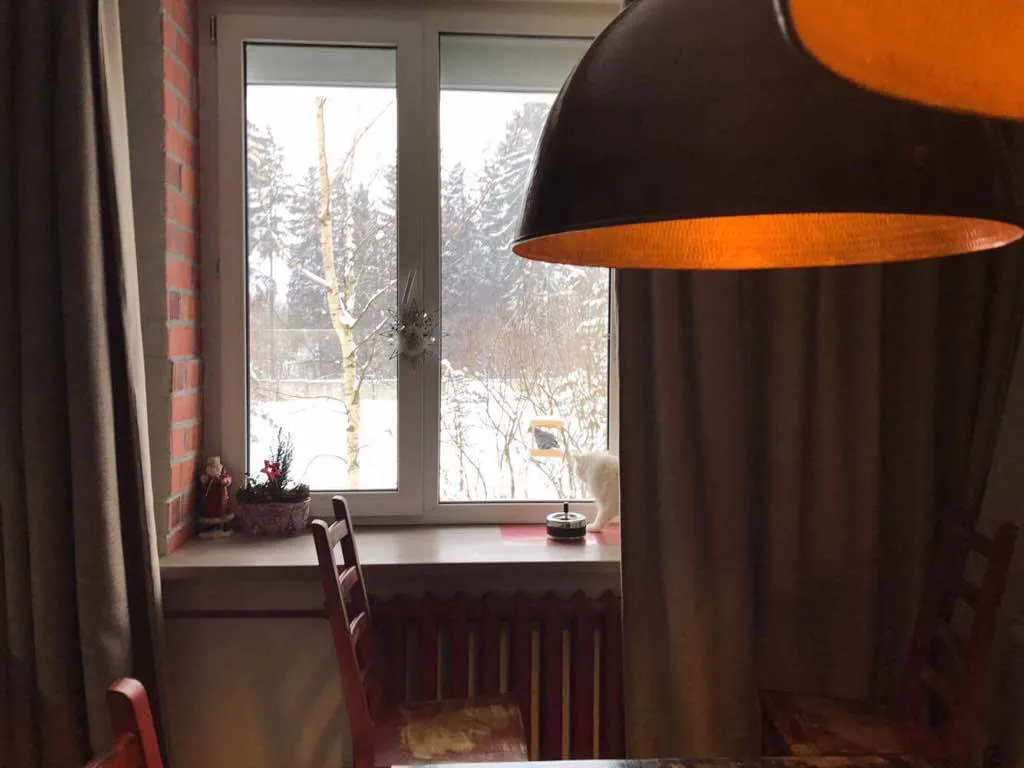 Рустик-квартира в лесу, фото 6