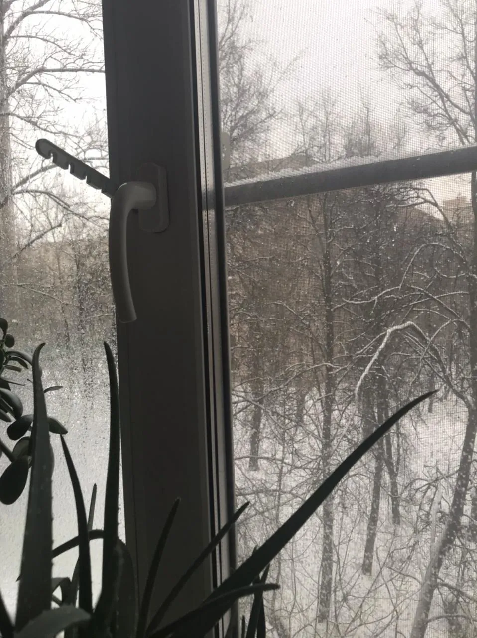 Хрущёвка со снегом за окном, фото 19
