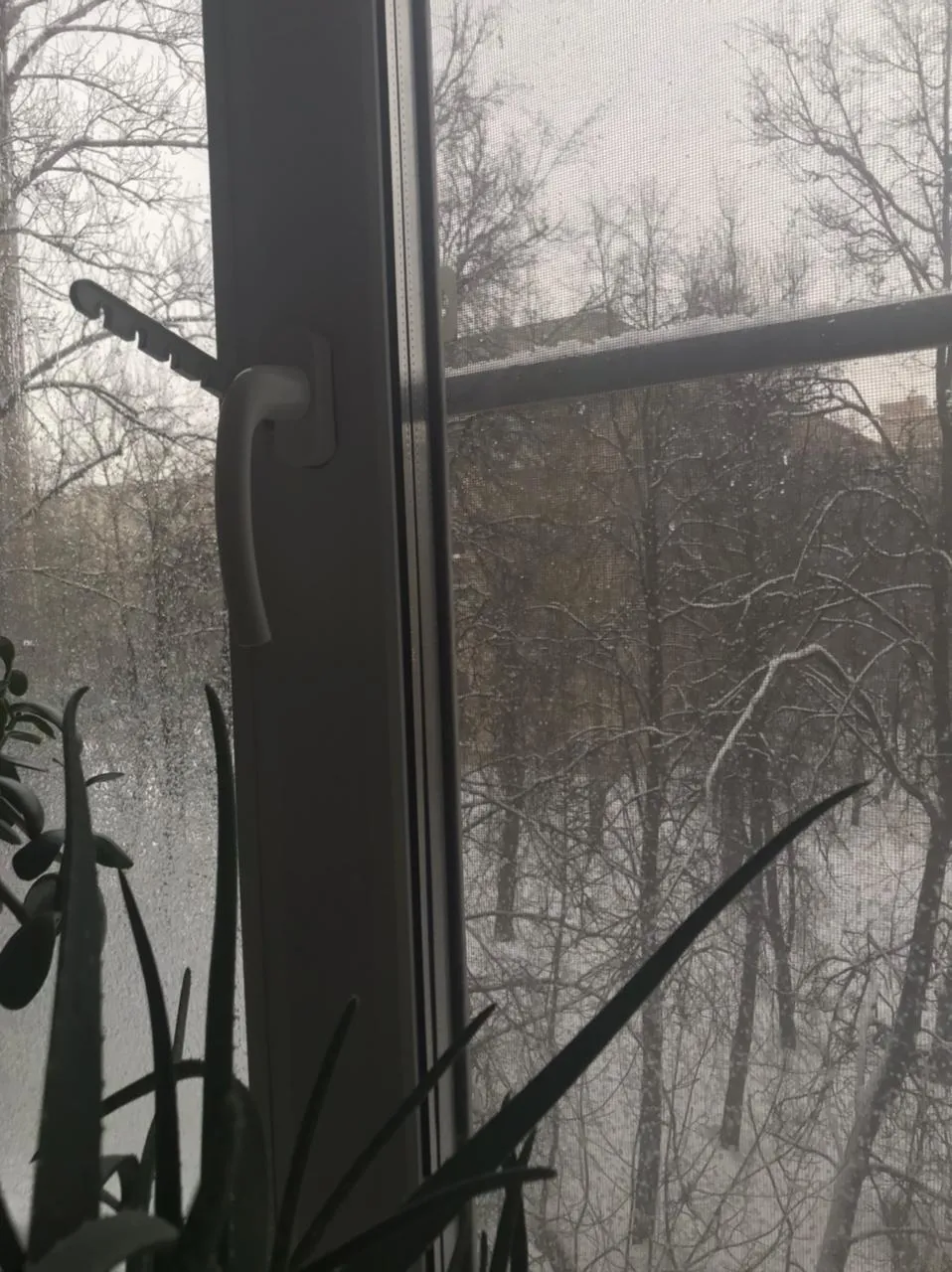 Хрущёвка со снегом за окном, фото 22