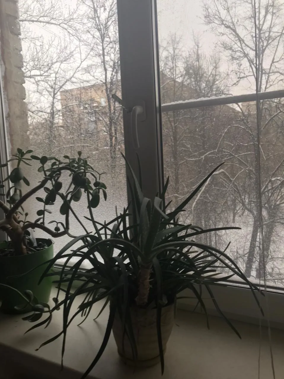 Хрущёвка со снегом за окном, фото 20