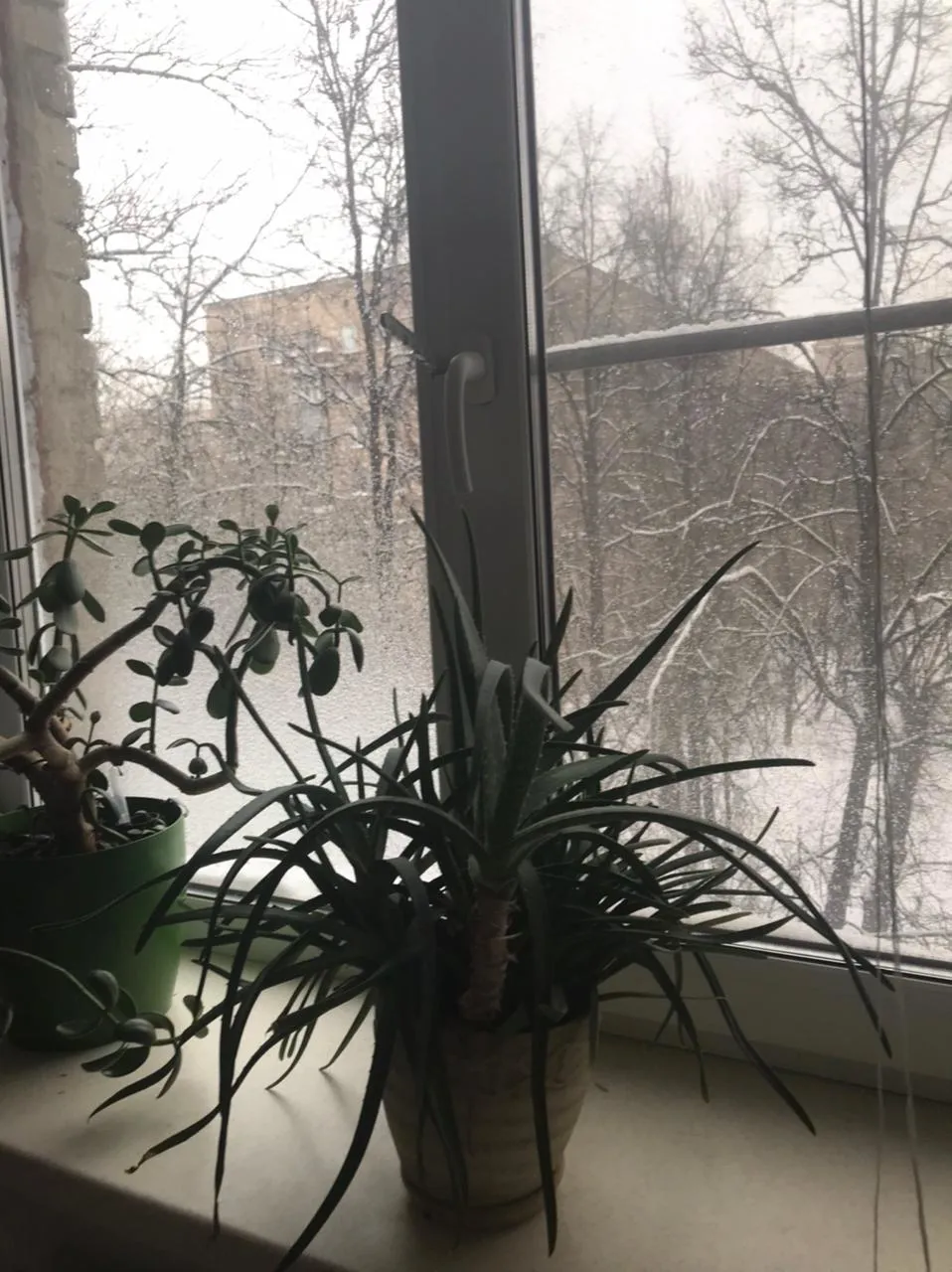 Хрущёвка со снегом за окном, фото 15