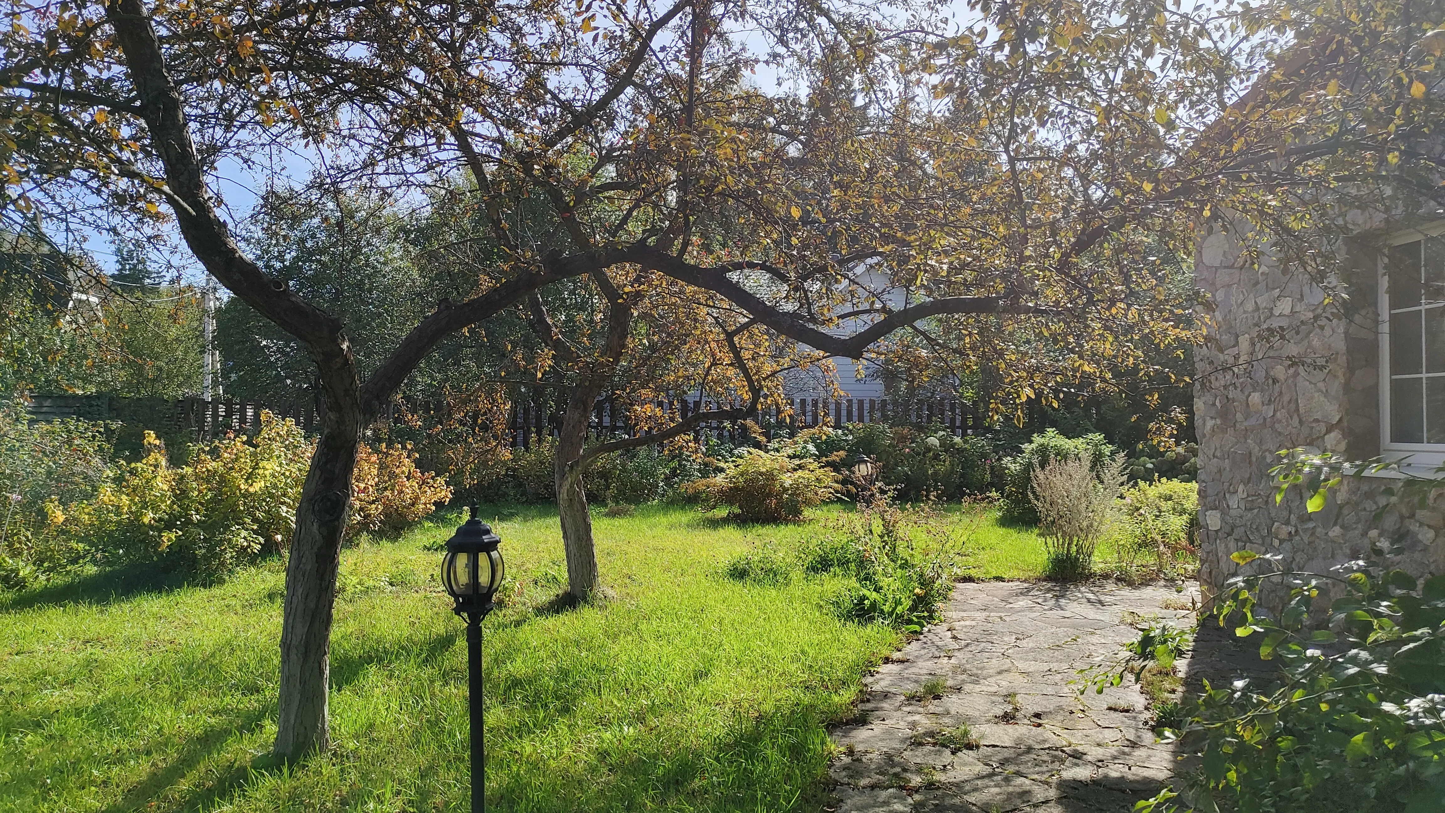 Немецкая дача в лесу, фото 11
