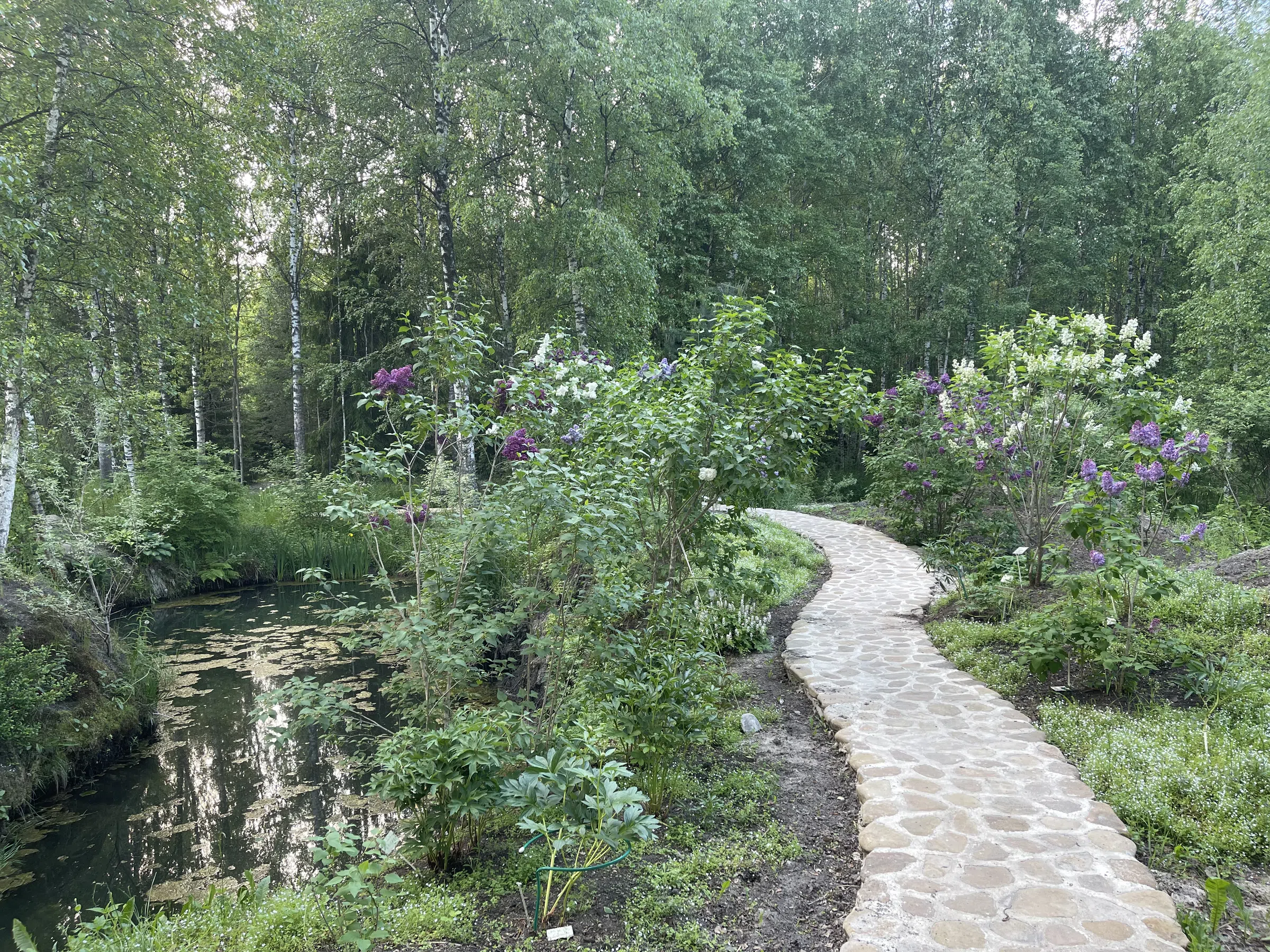 Загородный дом с прудом, фото 19