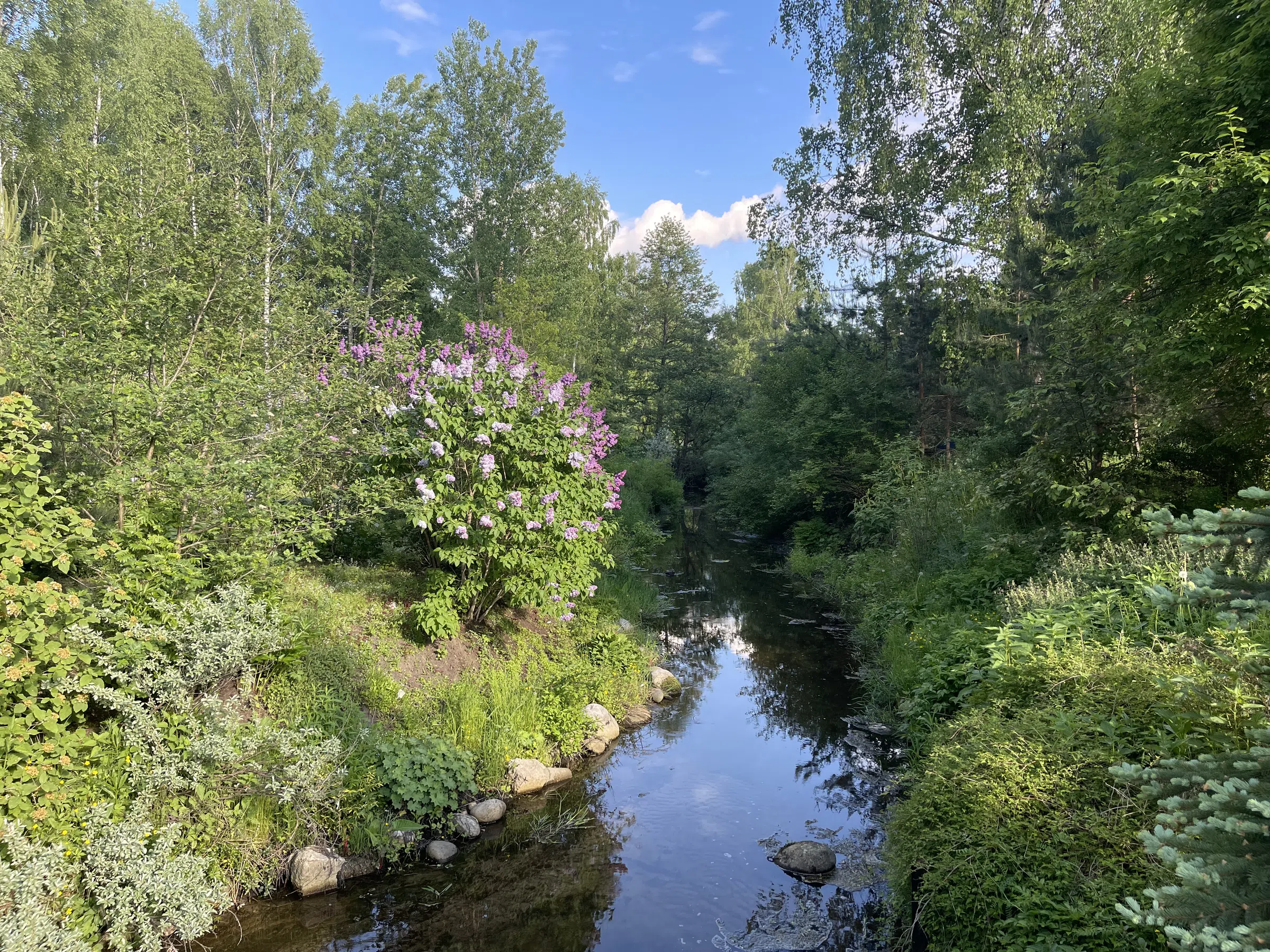 Загородный дом с прудом, фото 18