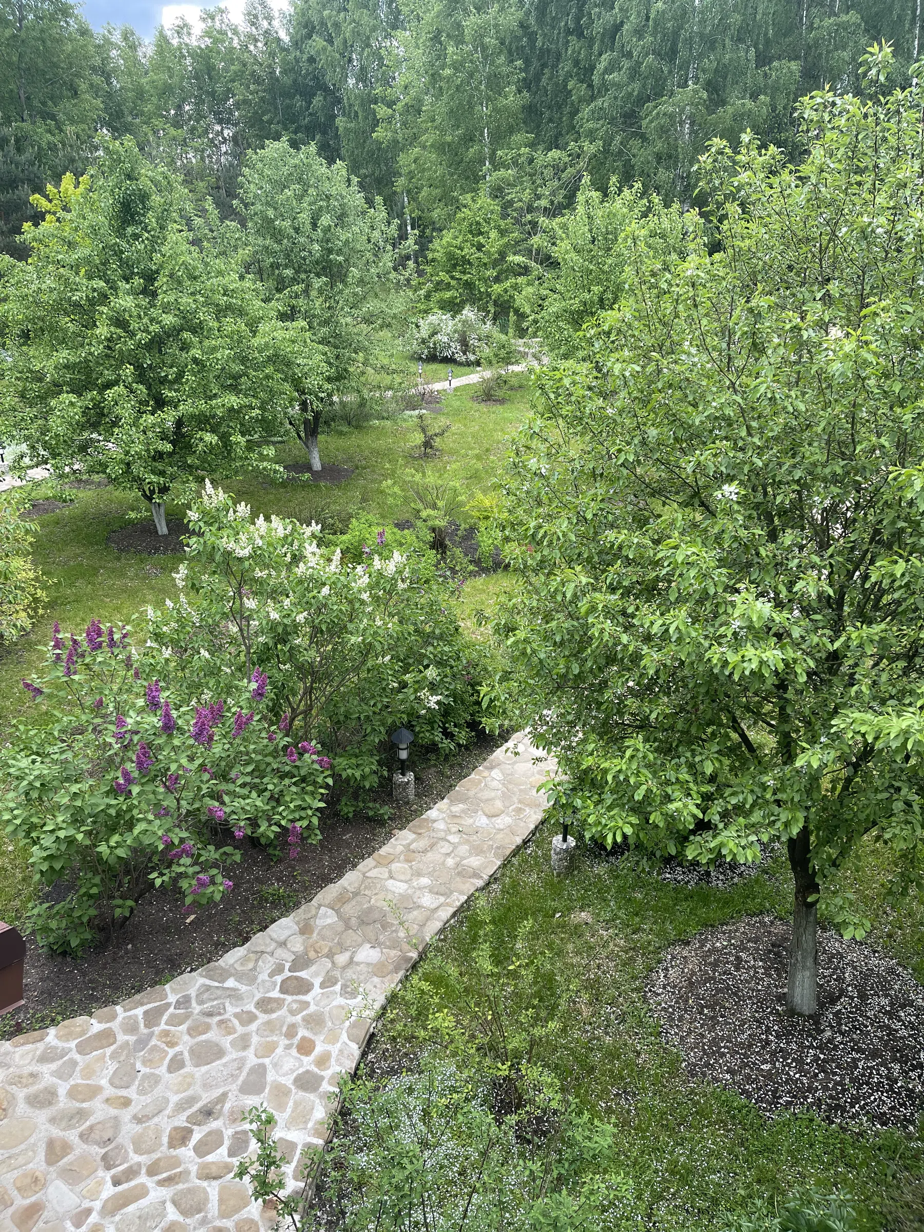 Загородный дом с прудом, фото 14