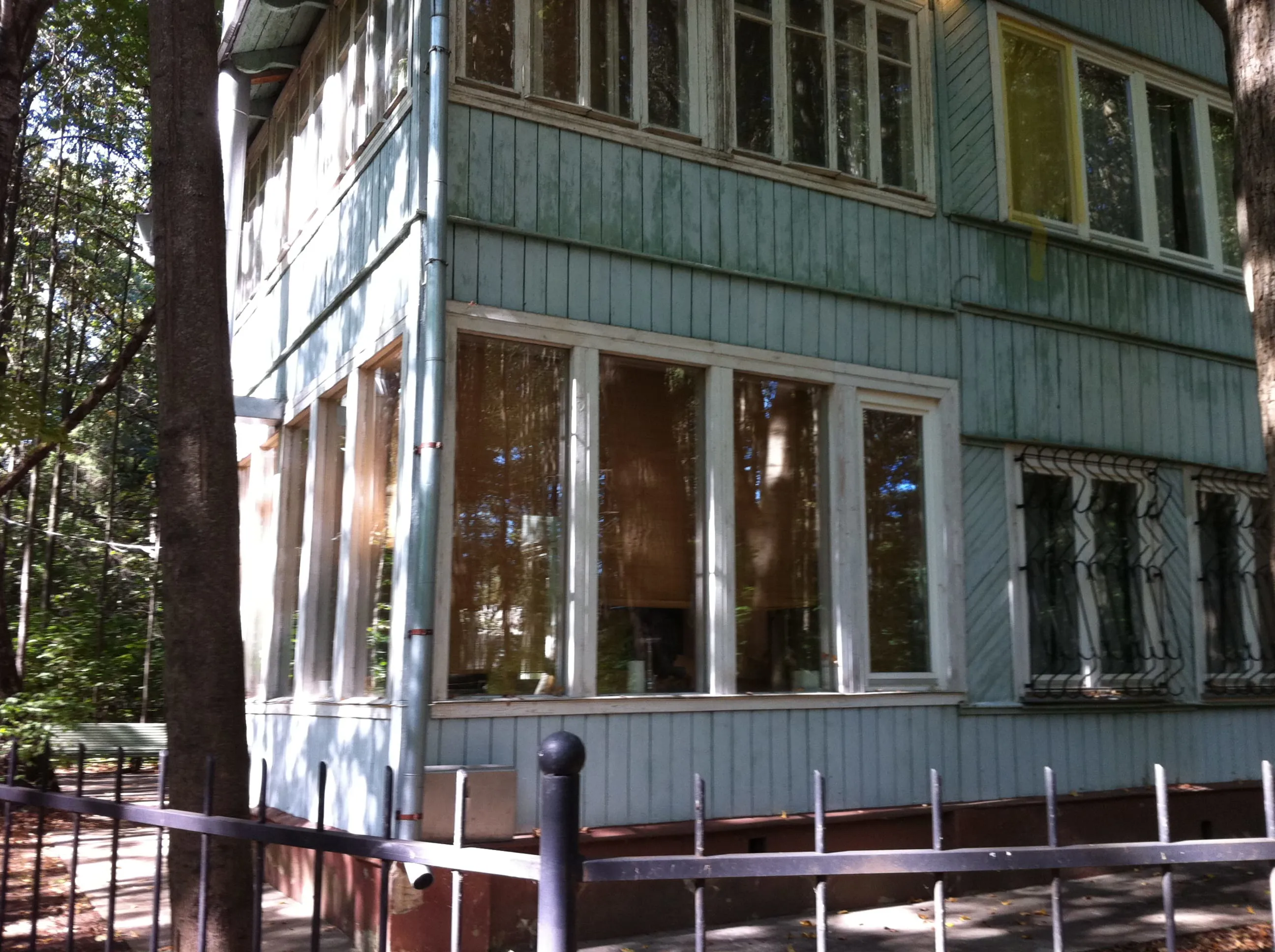 Дача в лесной чаще, фото 3