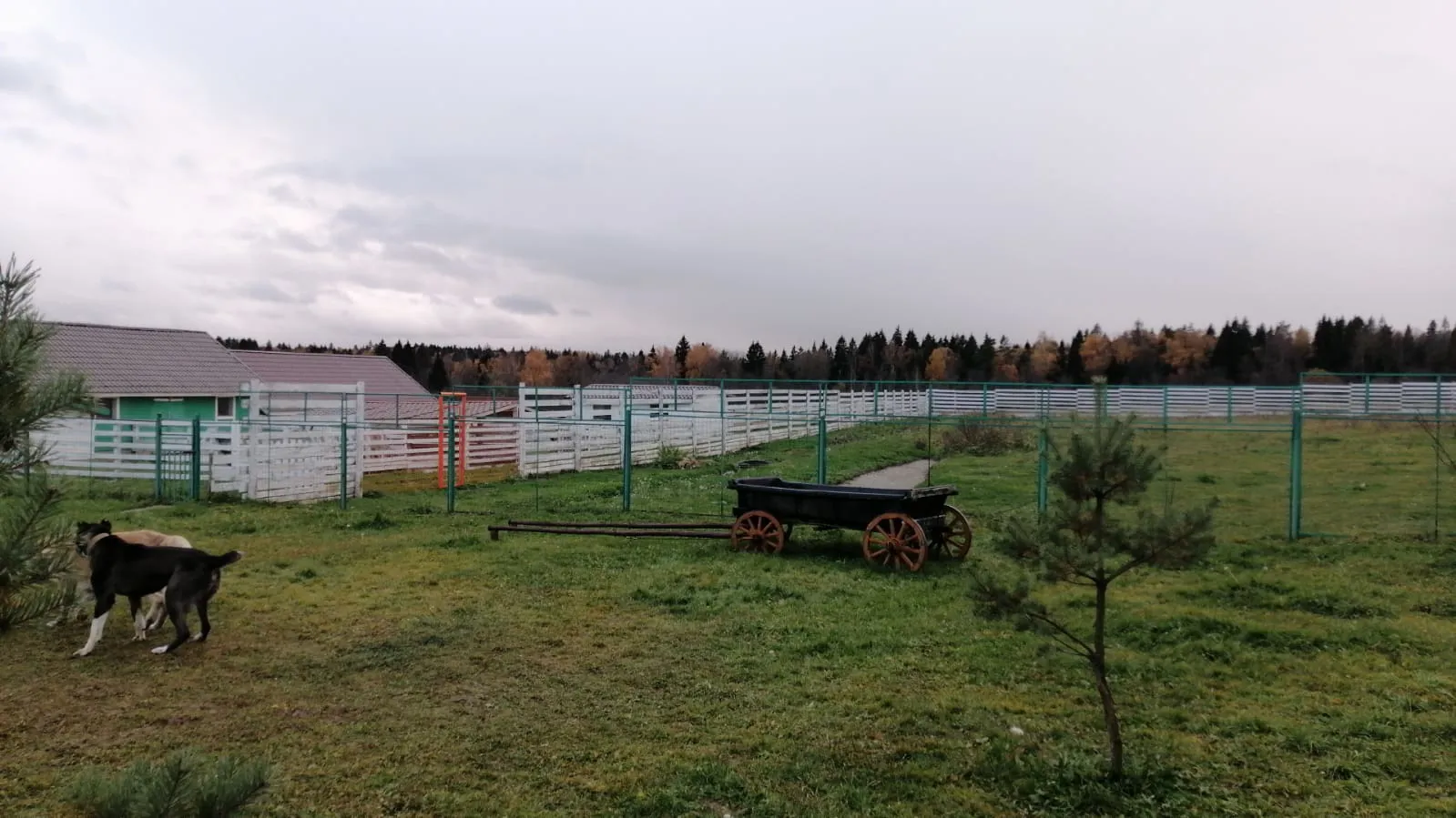 Ферма с козами, фото 5