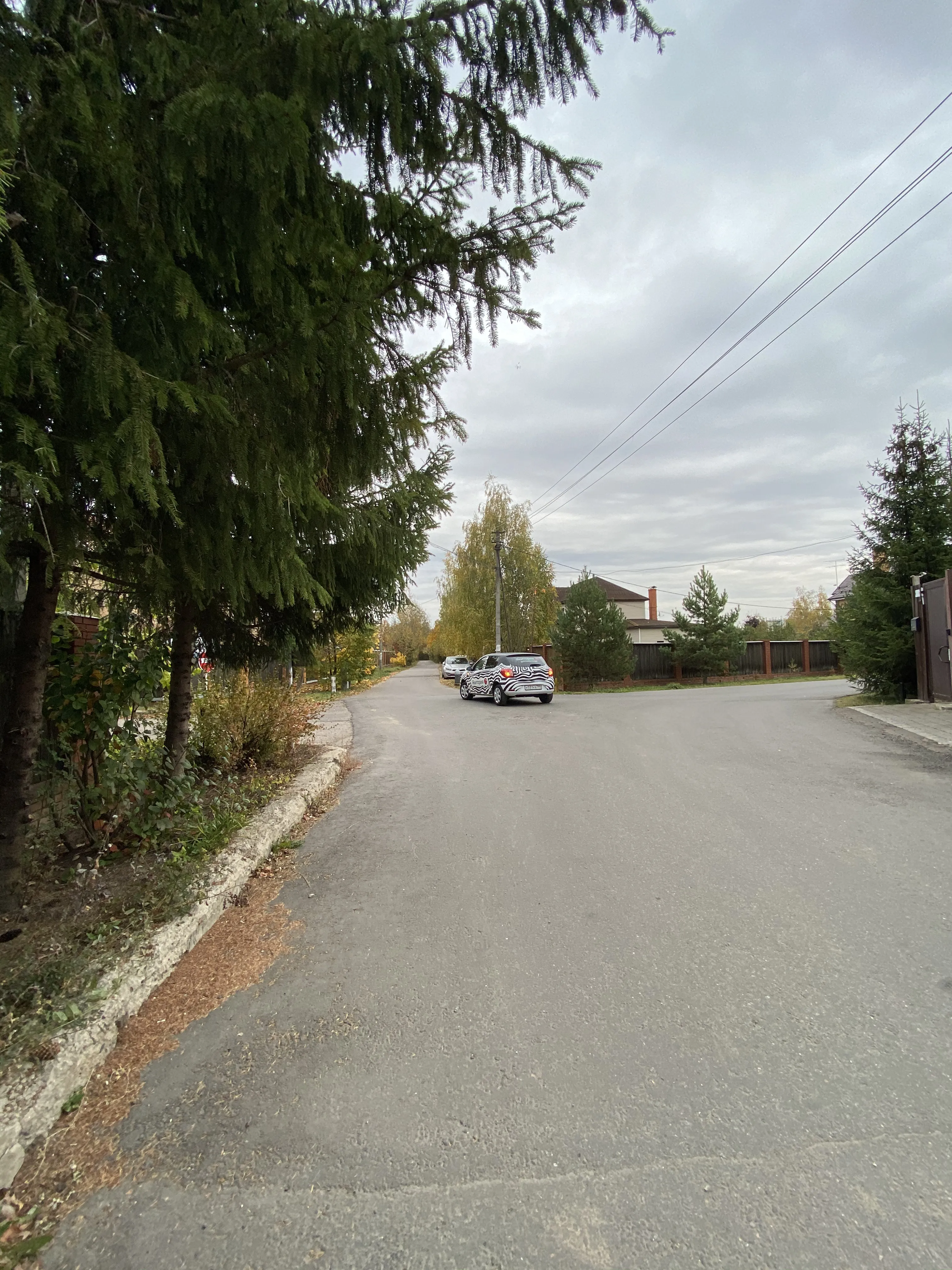 Большая кирпичная дача, фото 1