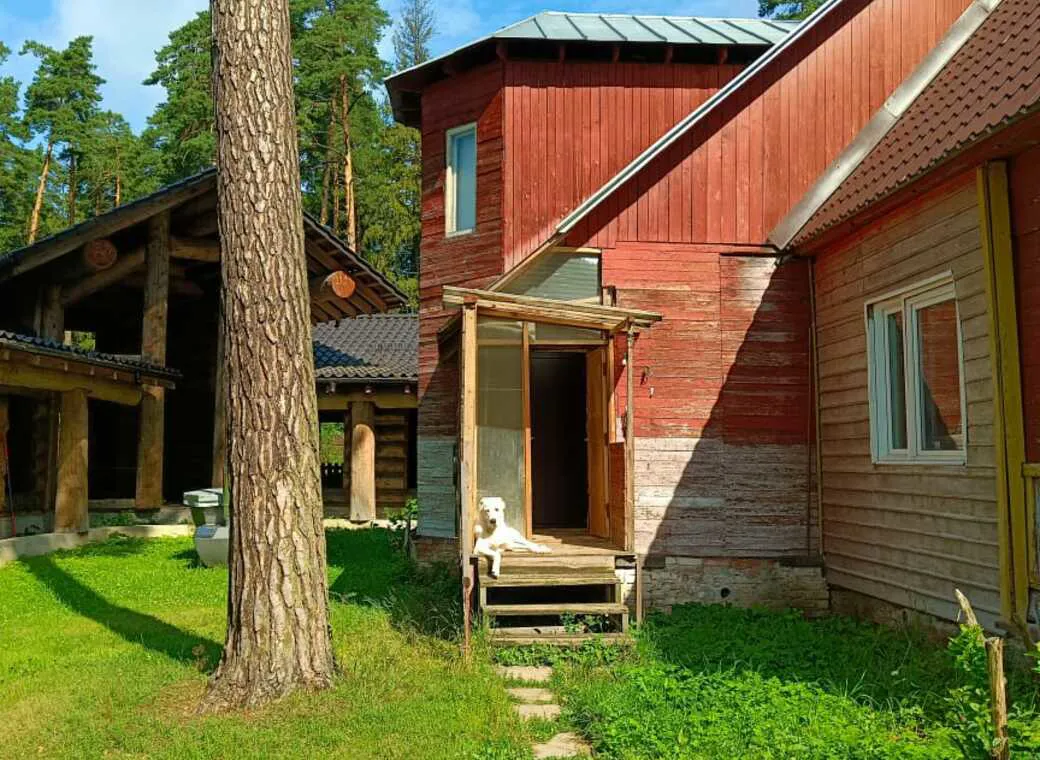 Дача Рубиновый Фронтон, фото 11
