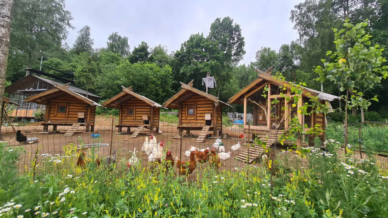 Дача Красные Слайды, фото 9