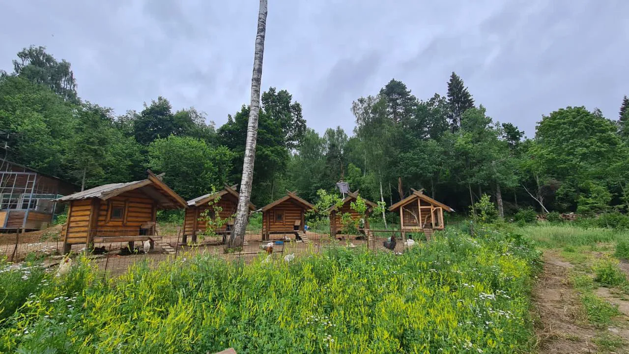 Дача Красные Слайды, фото 3