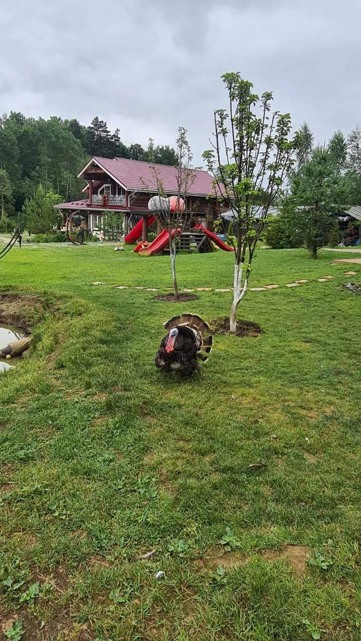 Дача Красные Слайды, фото 6
