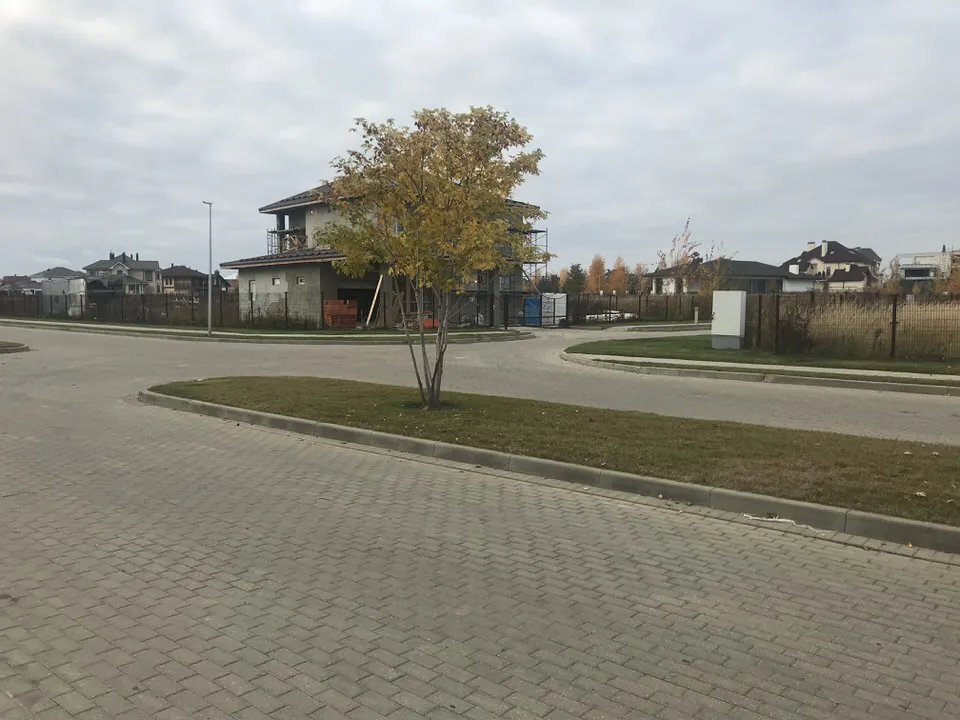 Дом с коваными воротами, фото 3