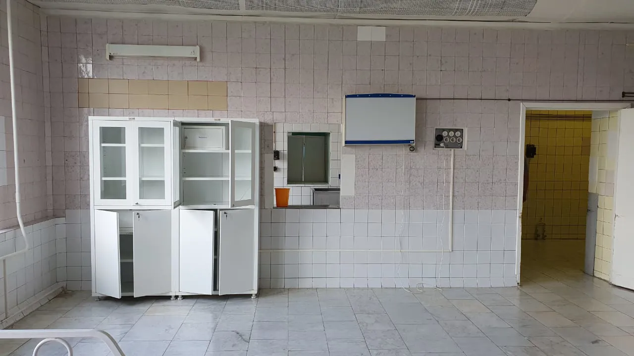 Больница в парке, фото 17