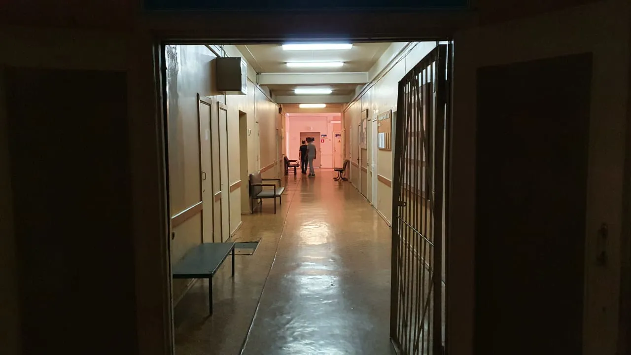 Больница в парке, фото 23
