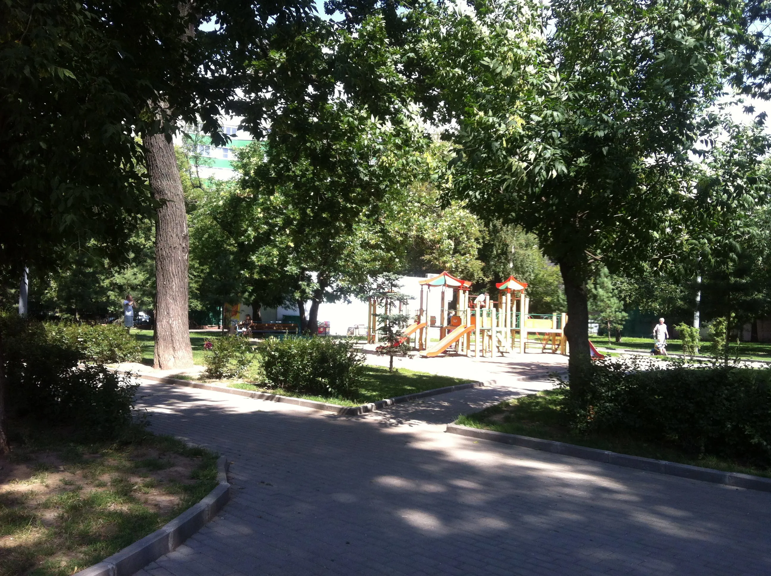 Парк со старыми деревьями, фото 23