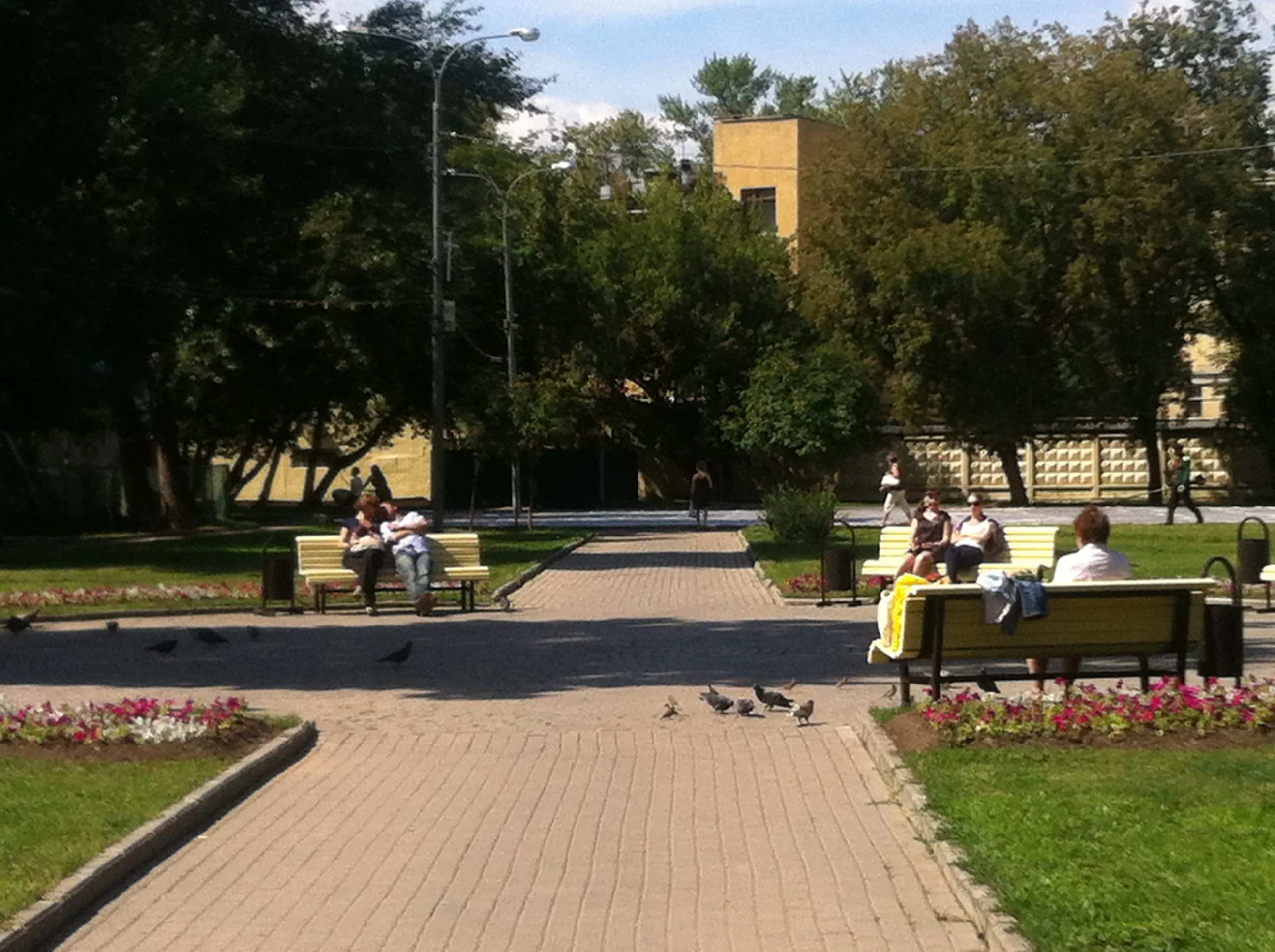 Парк со старыми деревьями, фото 14