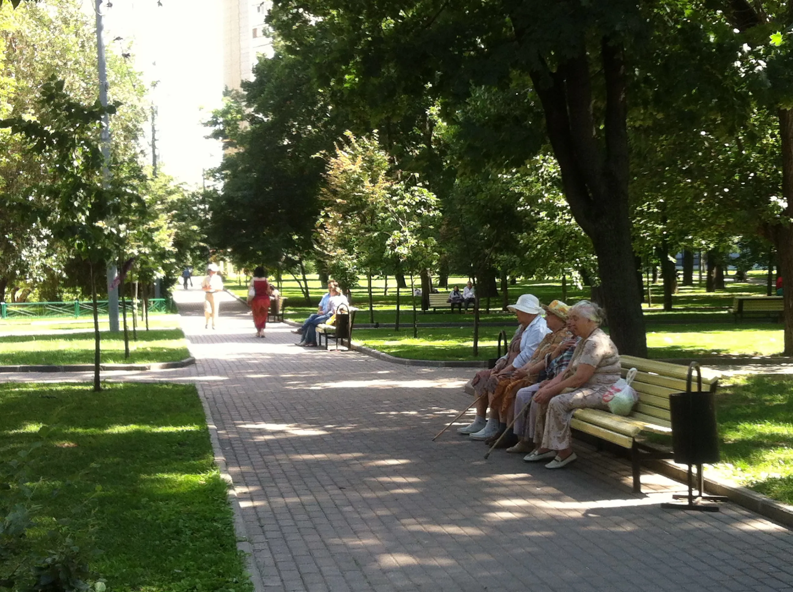 Парк со старыми деревьями, фото 5