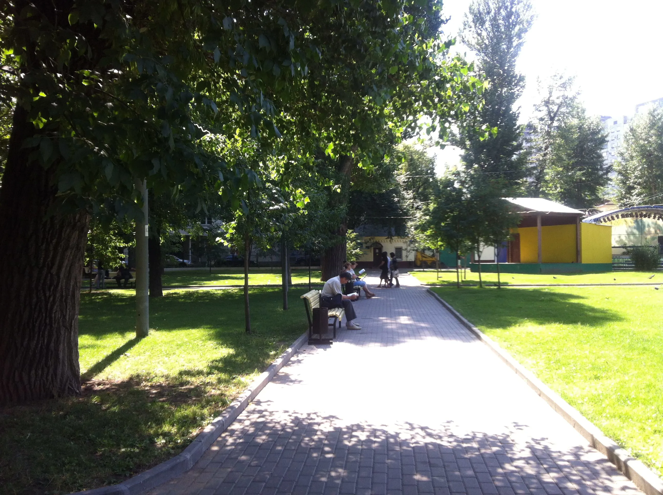 Парк со старыми деревьями, фото 10