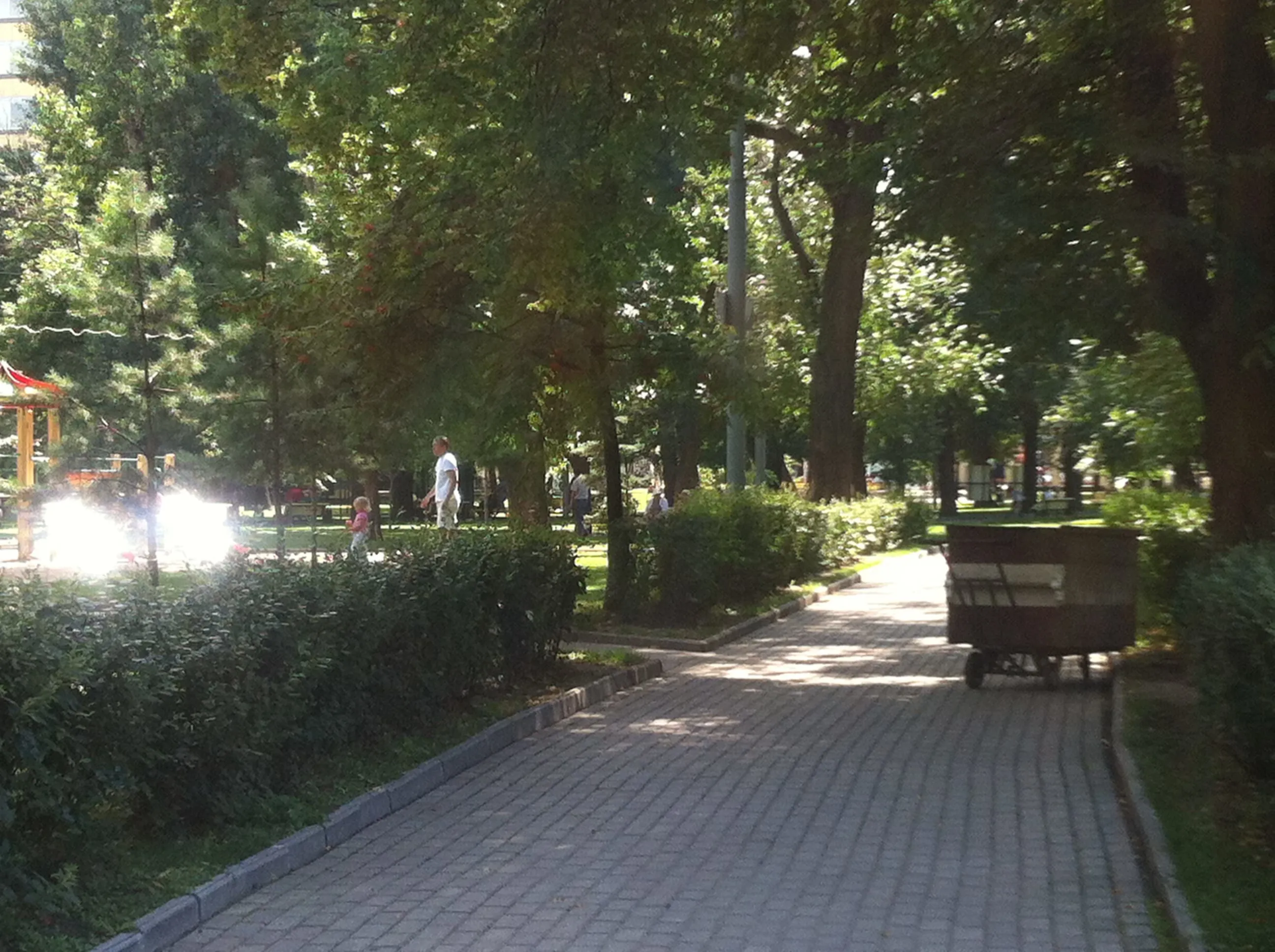 Парк со старыми деревьями, фото 3