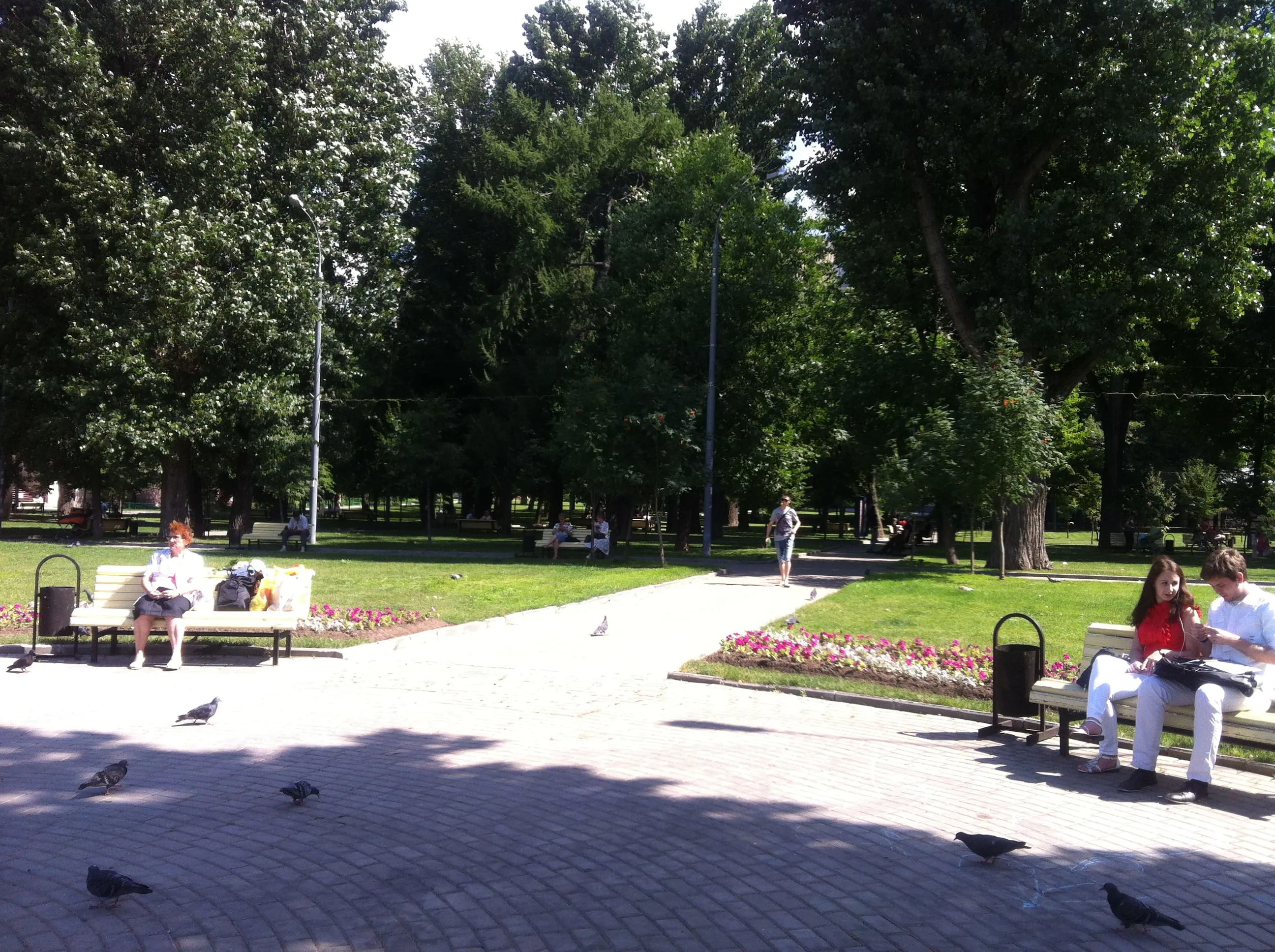 Парк со старыми деревьями, фото 17