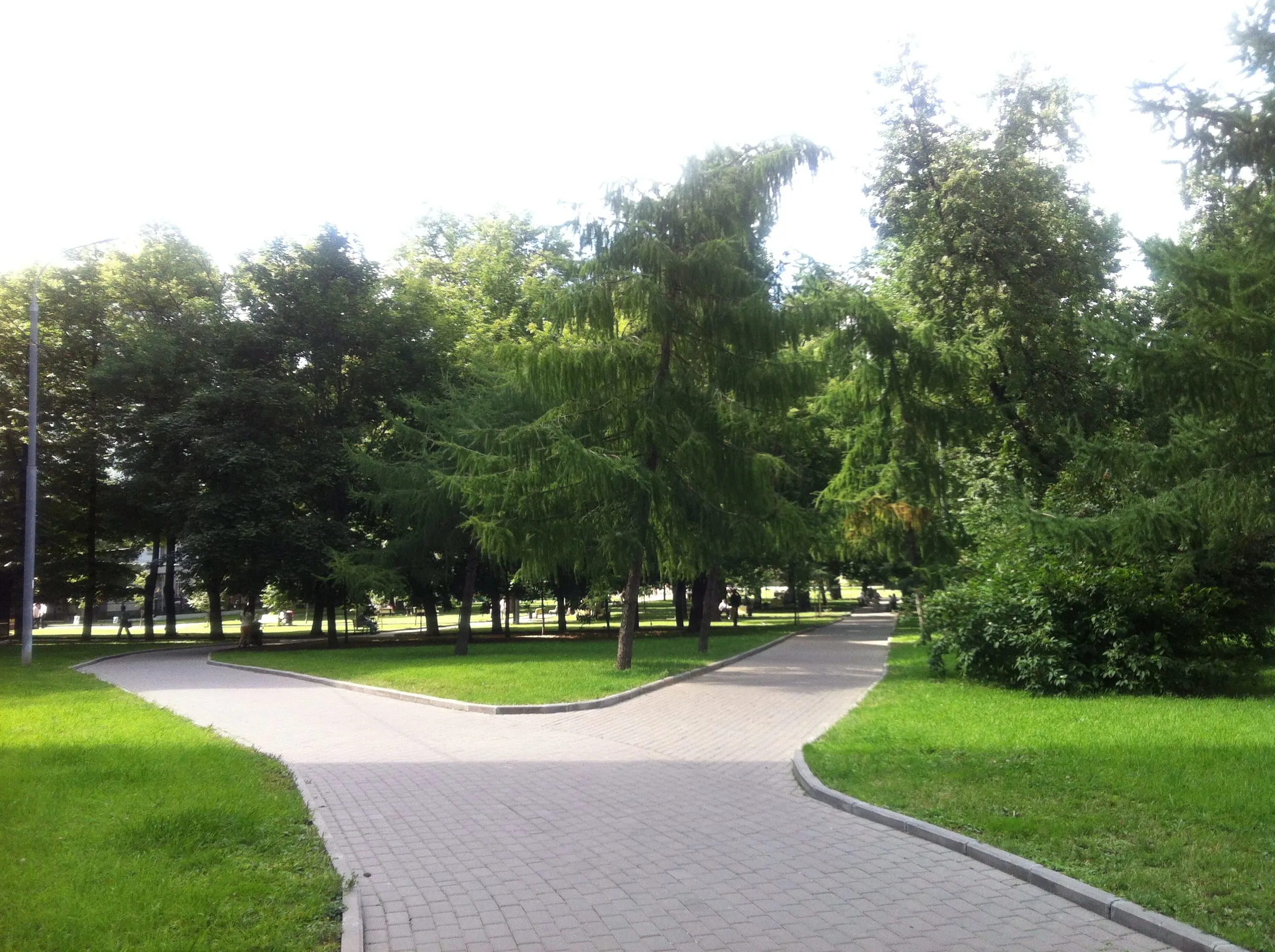 Парк со старыми деревьями, фото 24