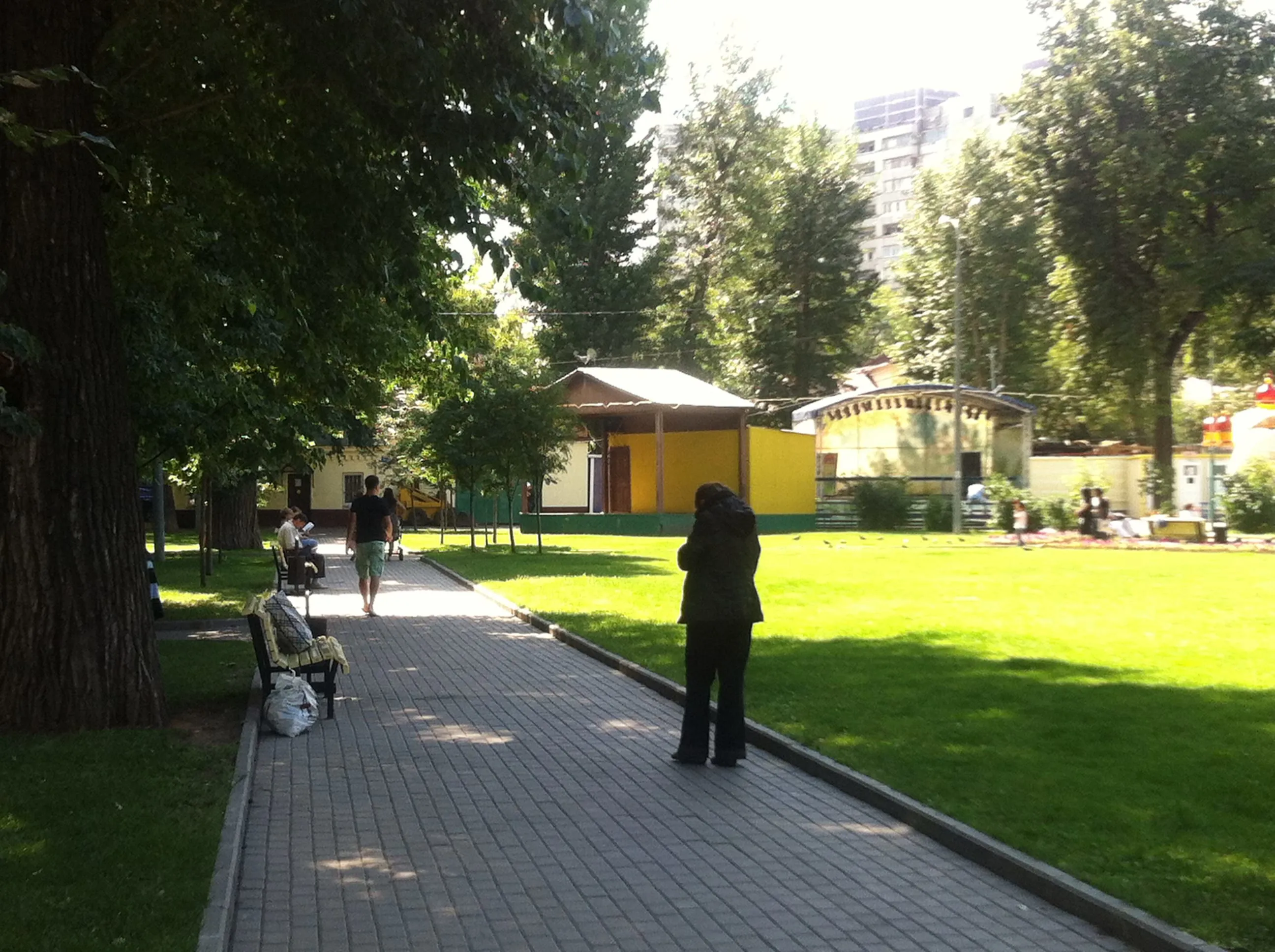 Парк со старыми деревьями, фото 6