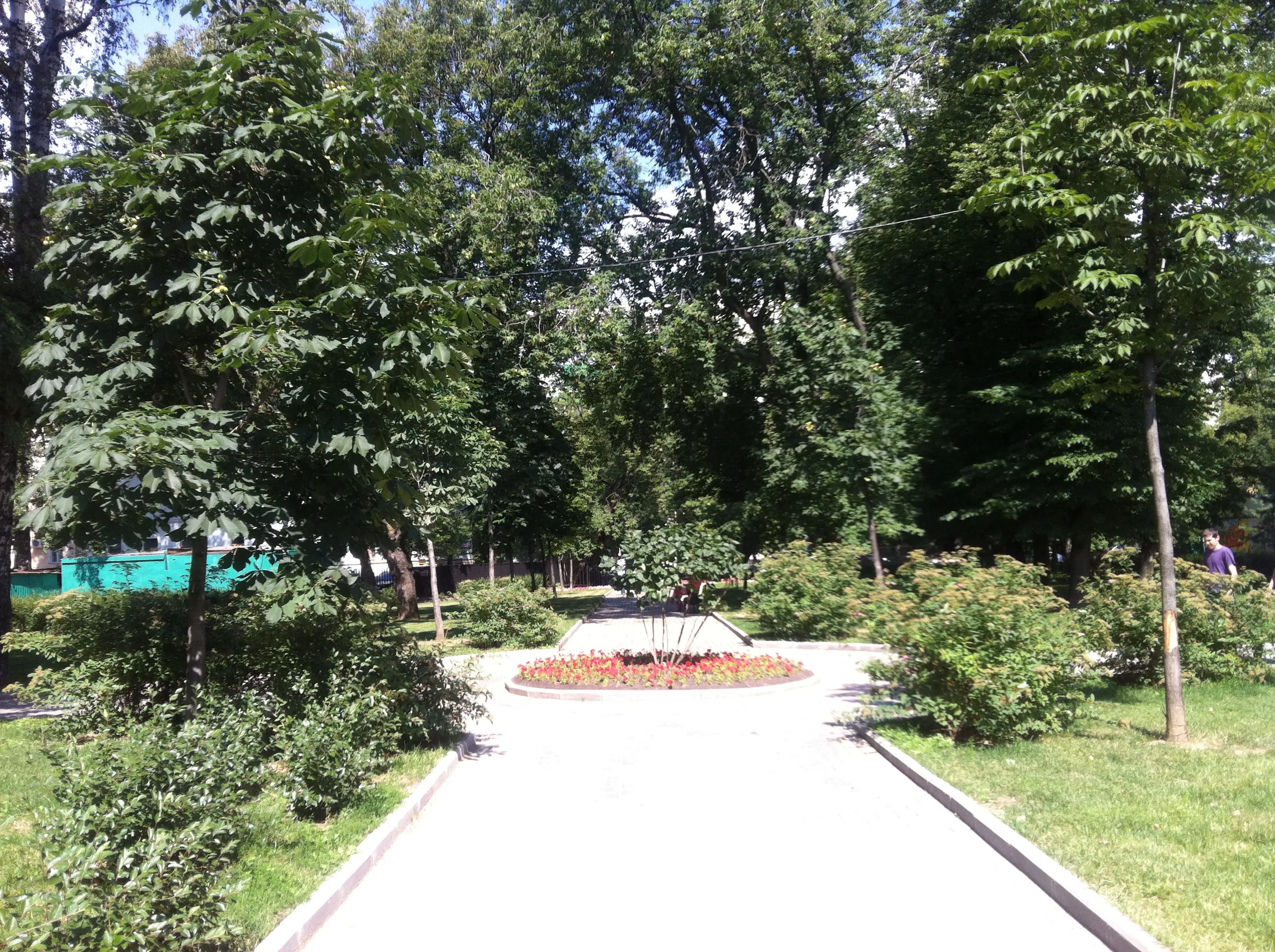 Парк со старыми деревьями, фото 18