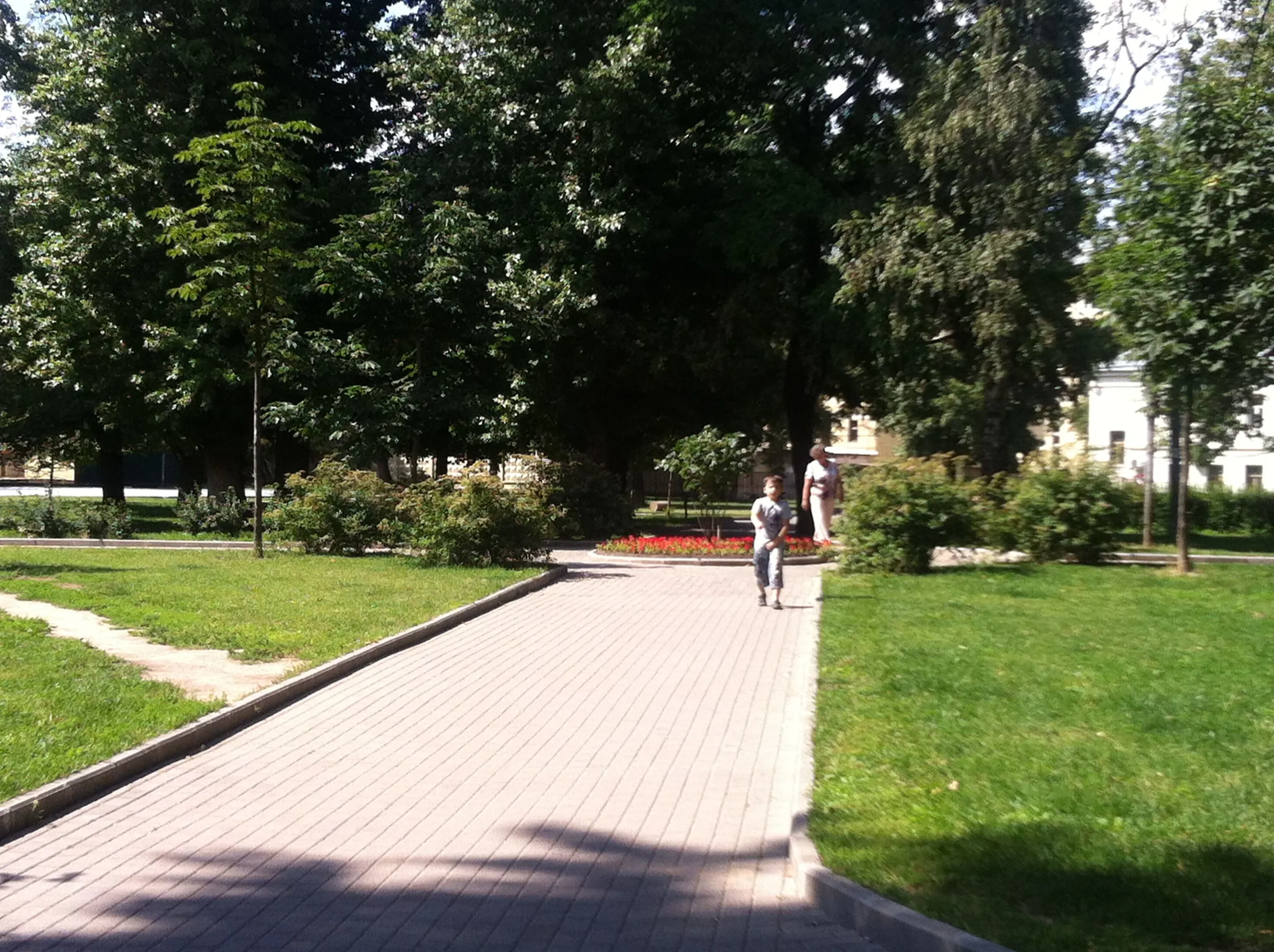 Парк со старыми деревьями, фото 7