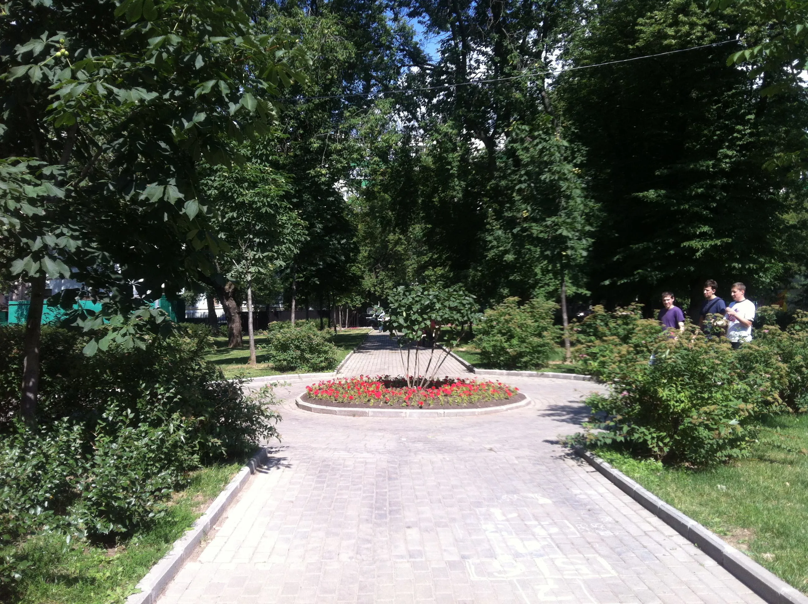 Парк со старыми деревьями, фото 19