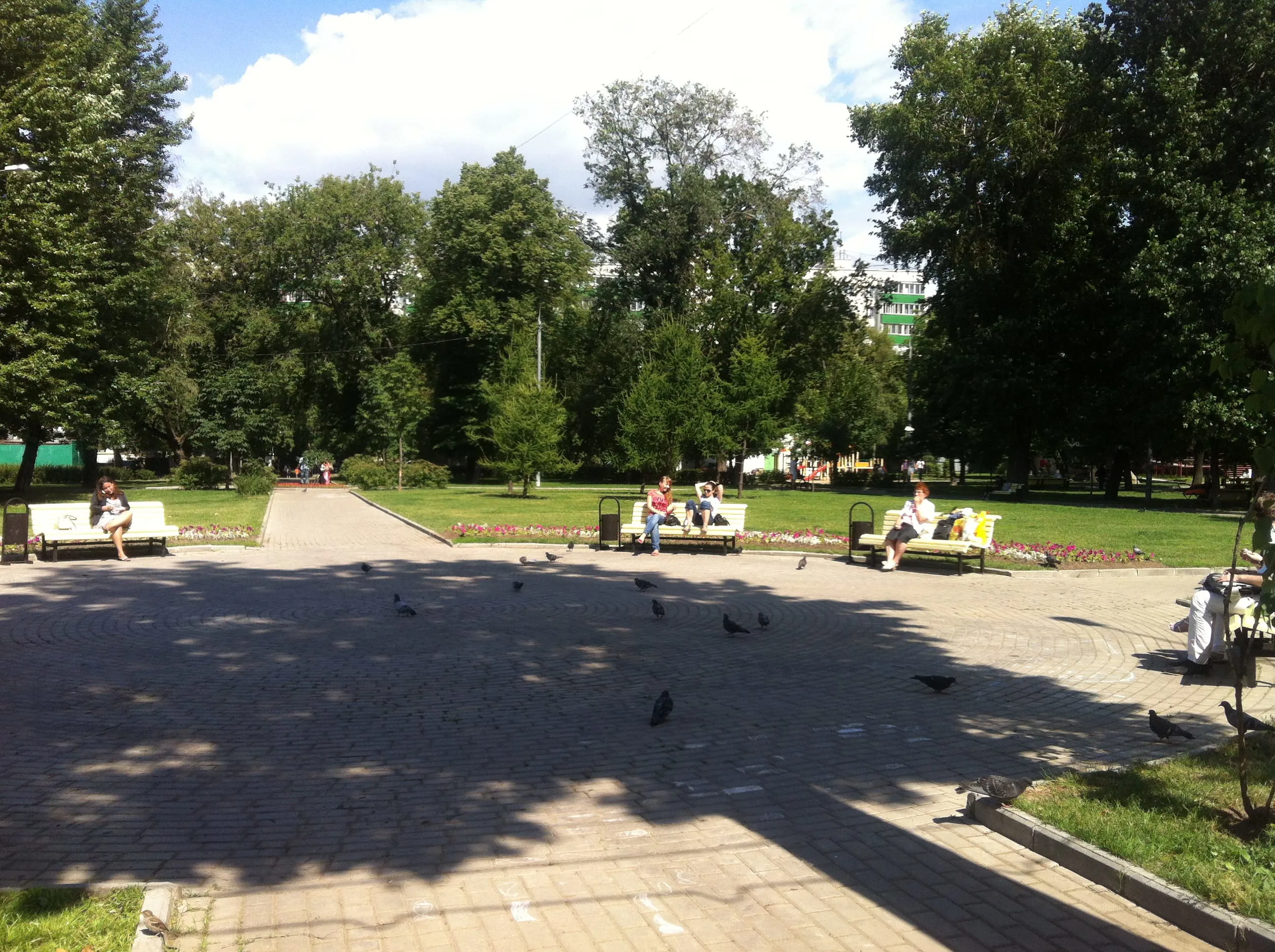 Парк со старыми деревьями, фото 16