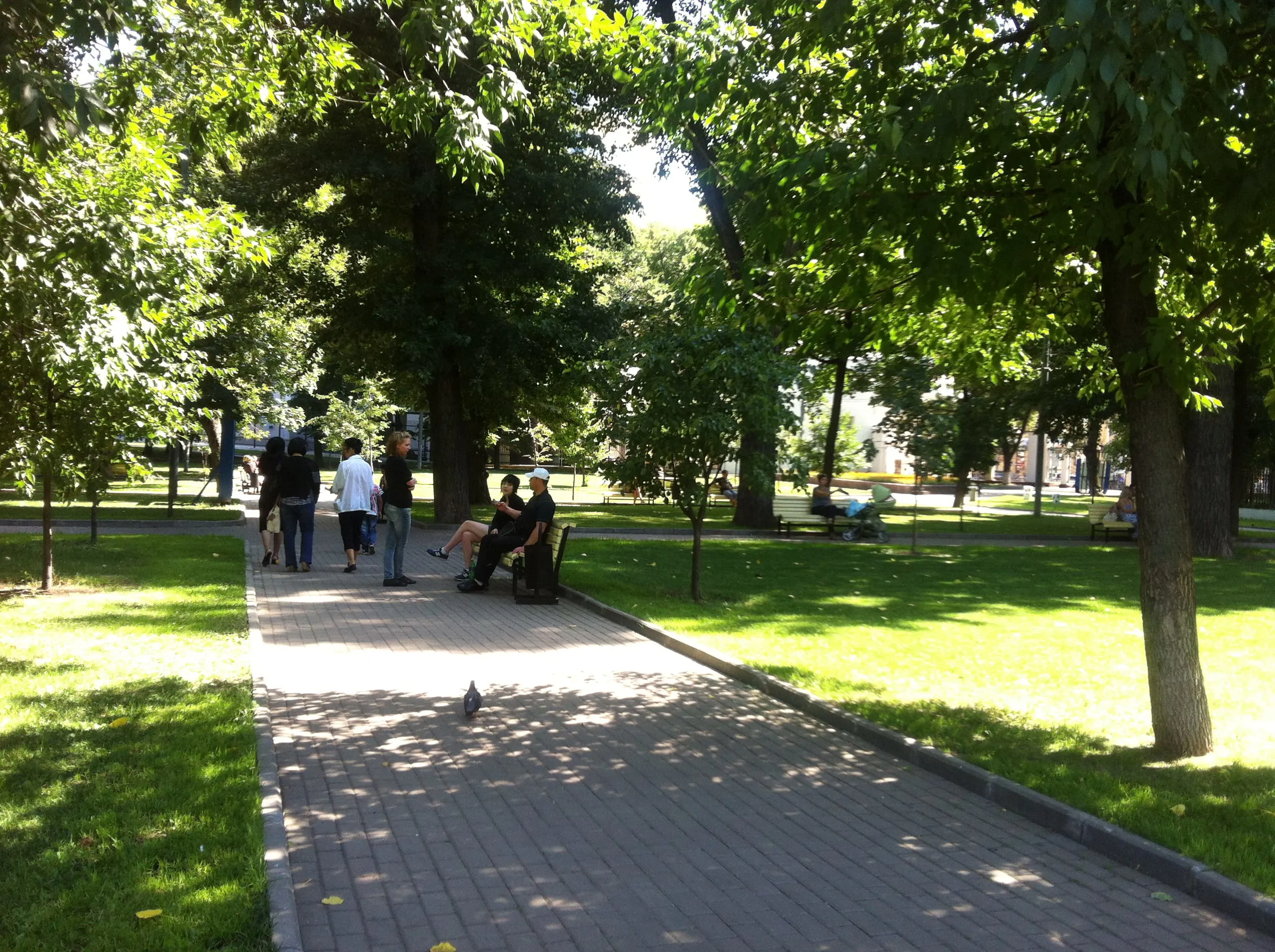 Парк со старыми деревьями, фото 12