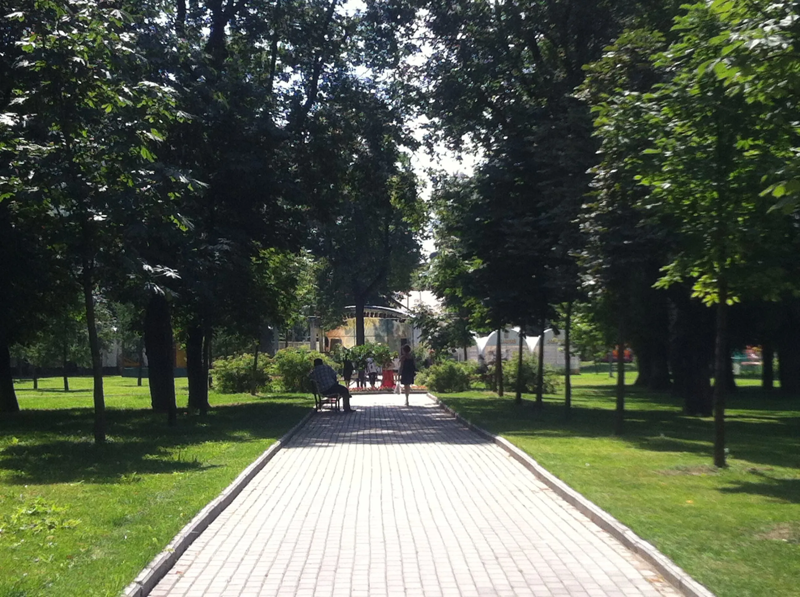 Парк со старыми деревьями, фото 2