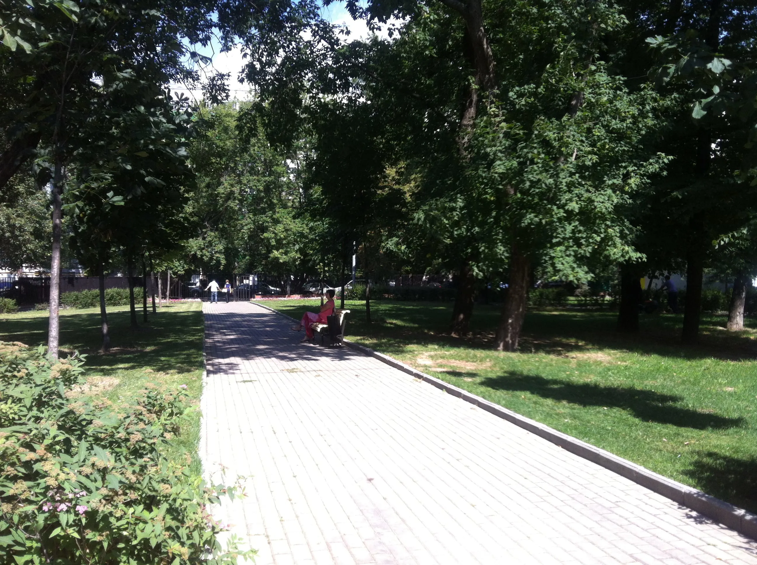 Парк со старыми деревьями, фото 21