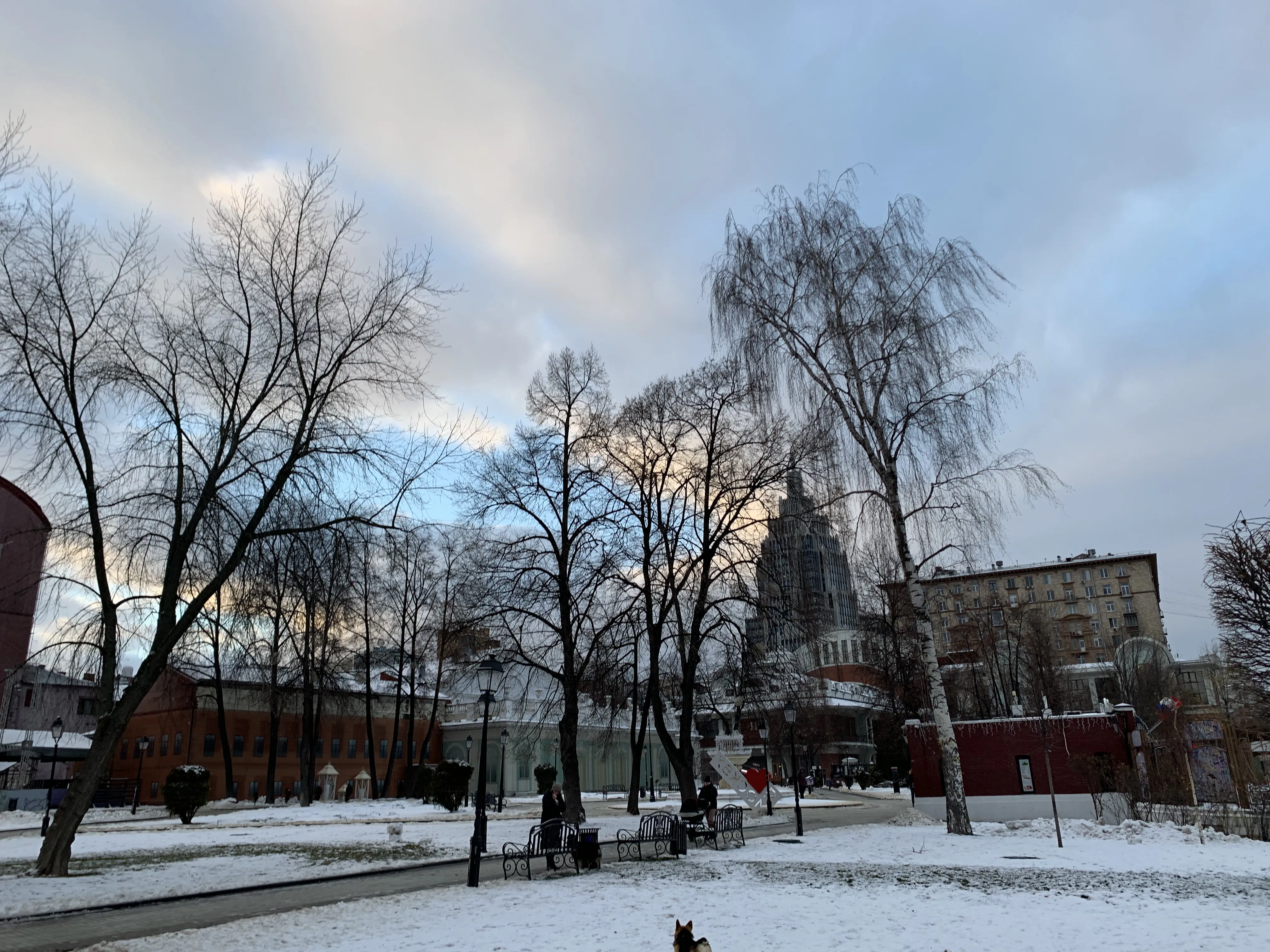 Зимний бульвар, фото 22
