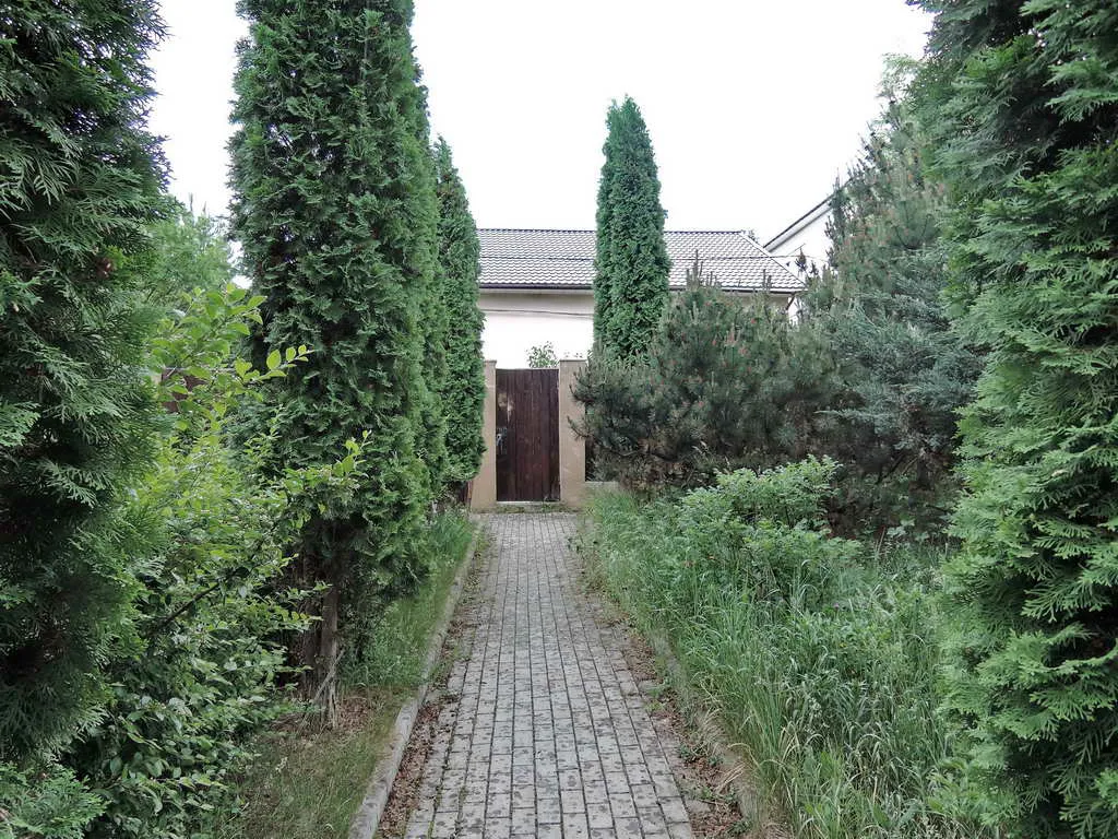 Домик в деревне, фото 23