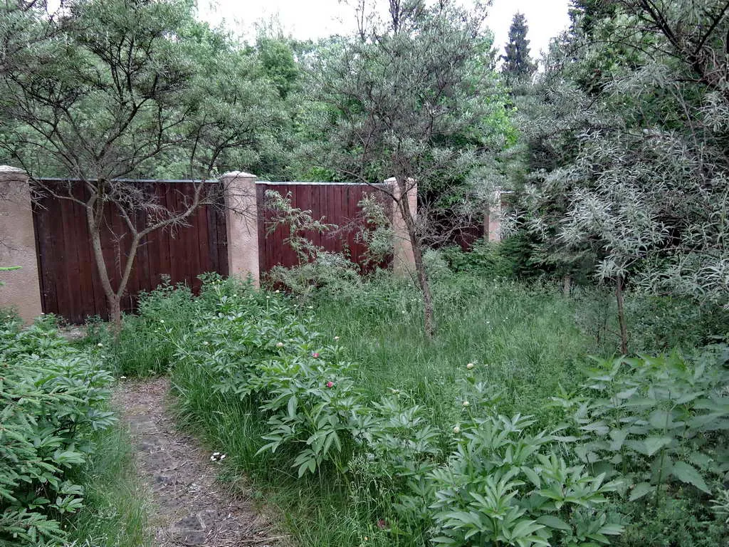 Домик в деревне, фото 17