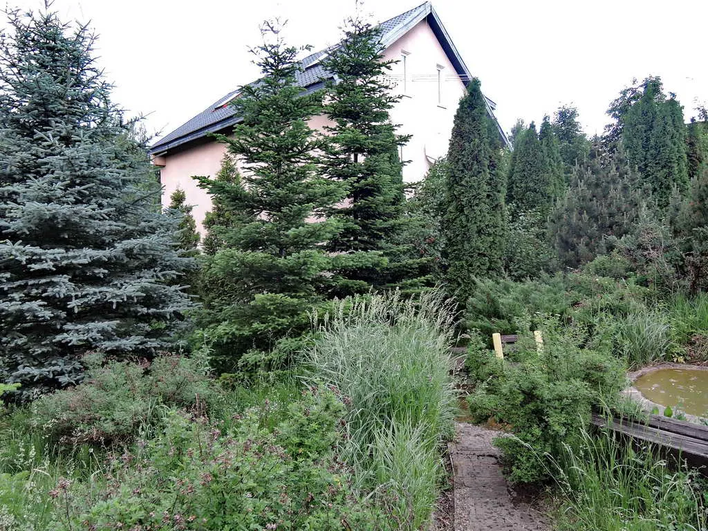 Домик в деревне, фото 14