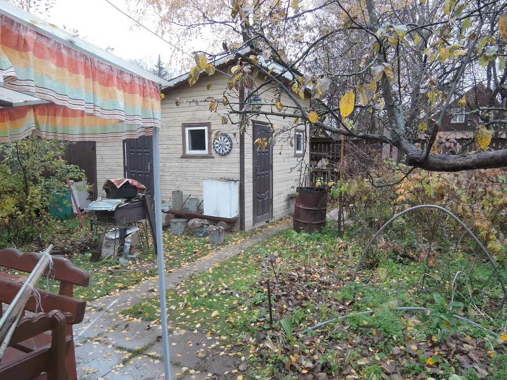 Дача в осеннем лесу, фото 21