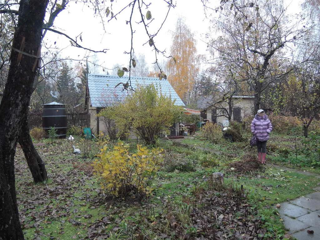 Дача в осеннем лесу, фото 15
