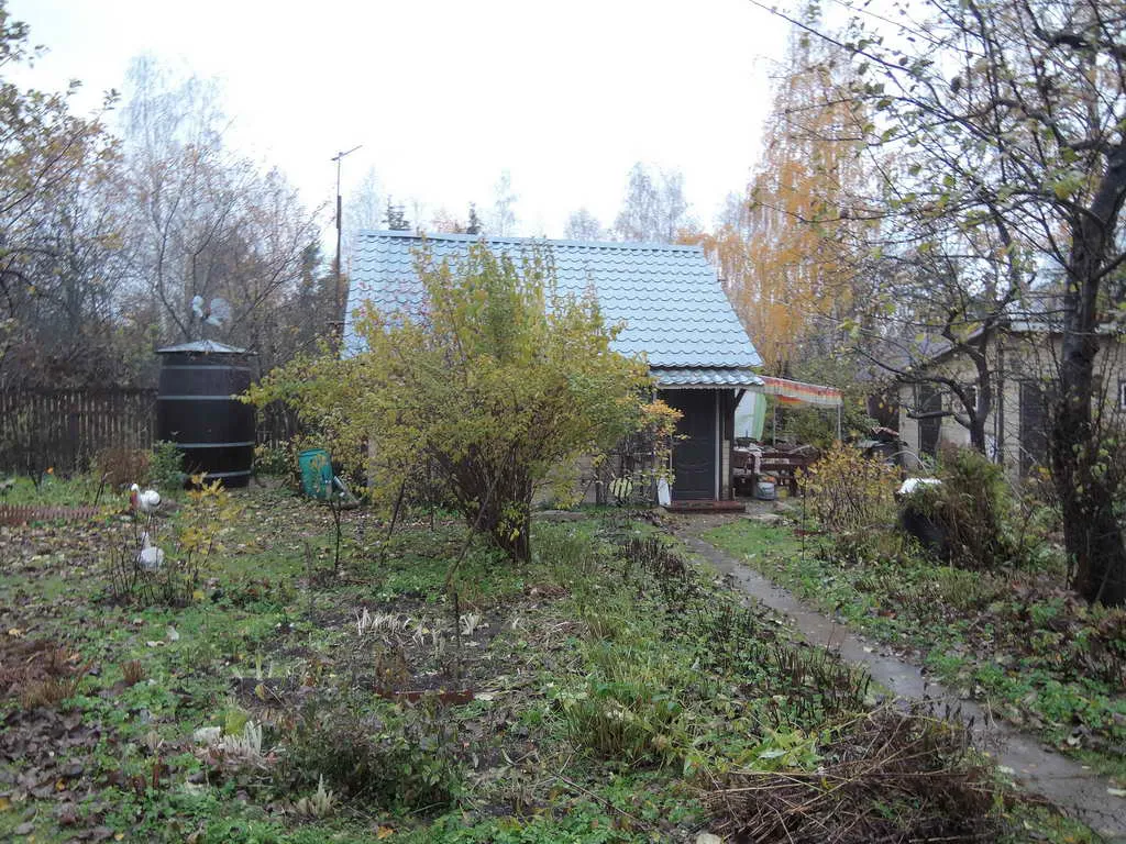 Дача в осеннем лесу, фото 16