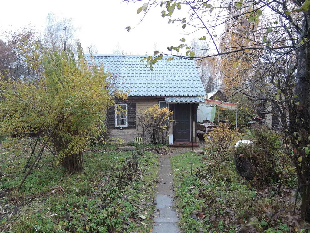 Дача в осеннем лесу, фото 18