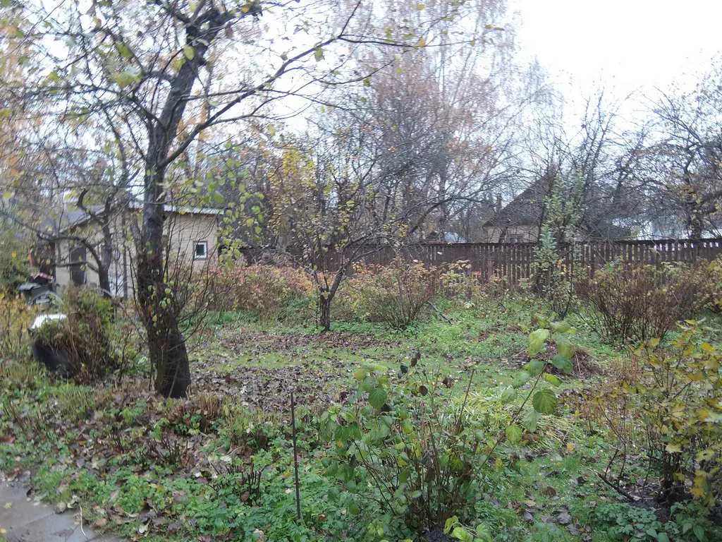 Дача в осеннем лесу, фото 17