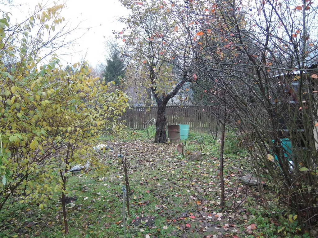 Дача в осеннем лесу, фото 24